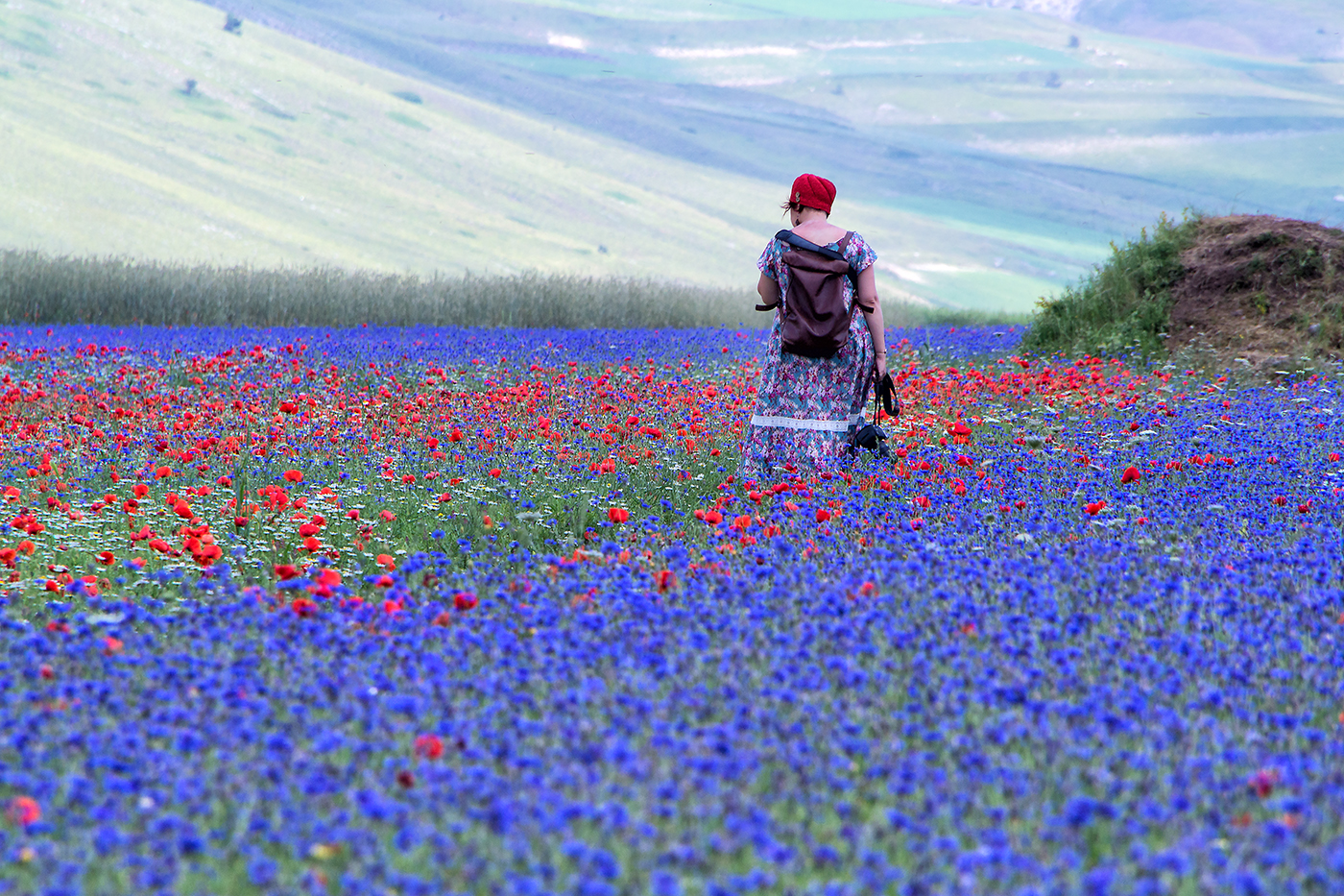 Castelluccio