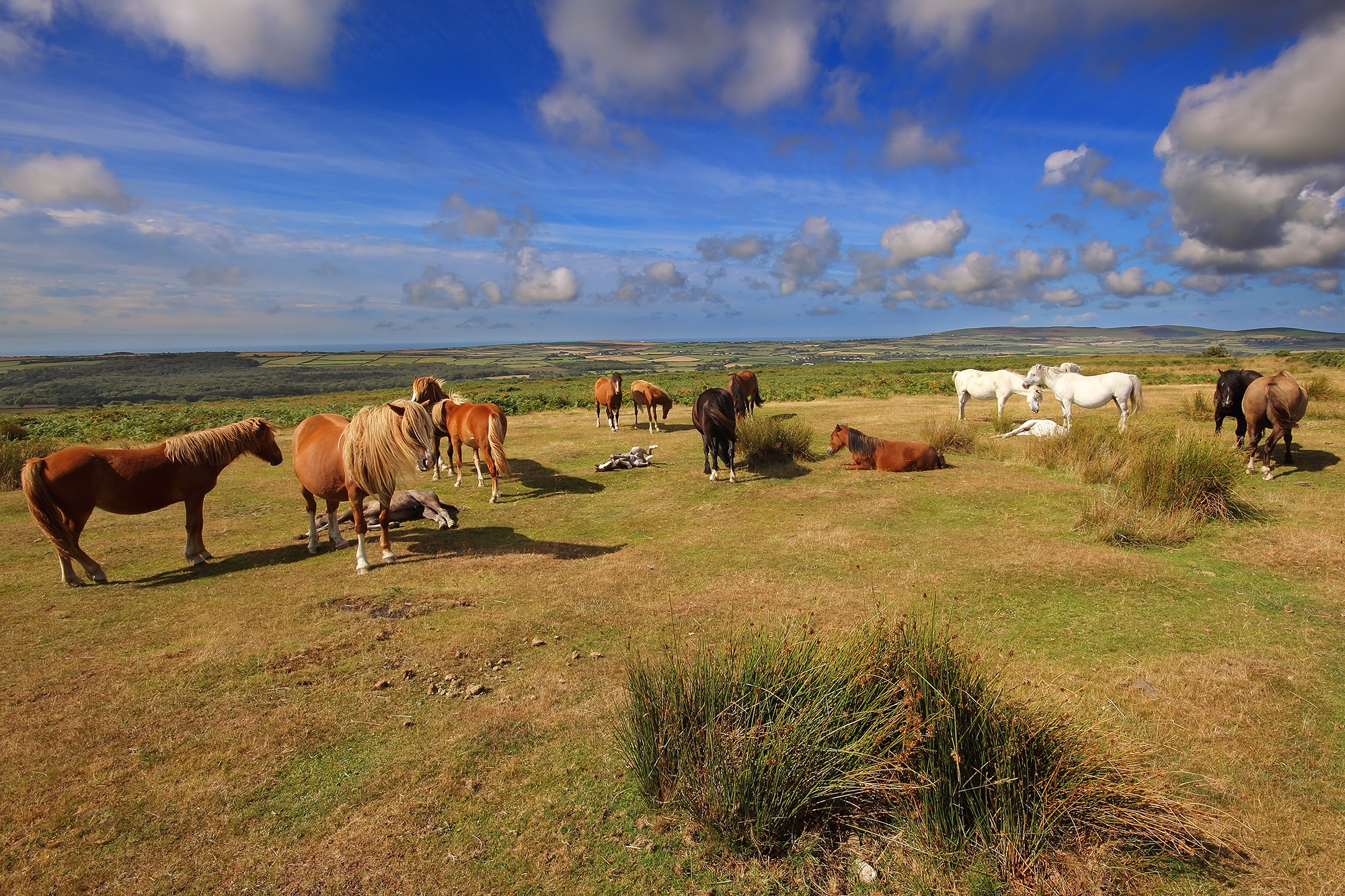 Gower Area of Outstanding Natural Beauty