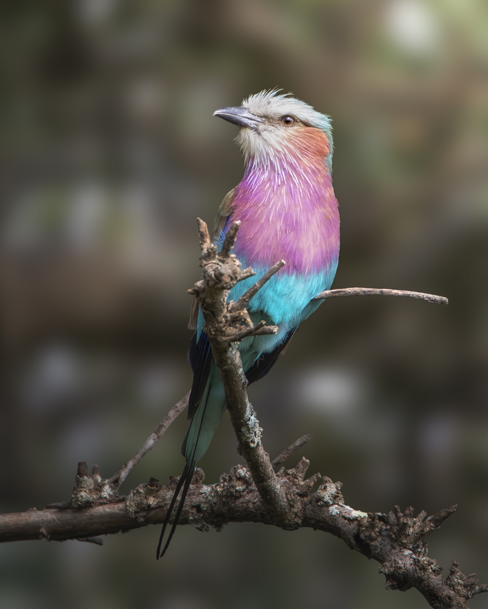 Test camouflage: not exceeded!