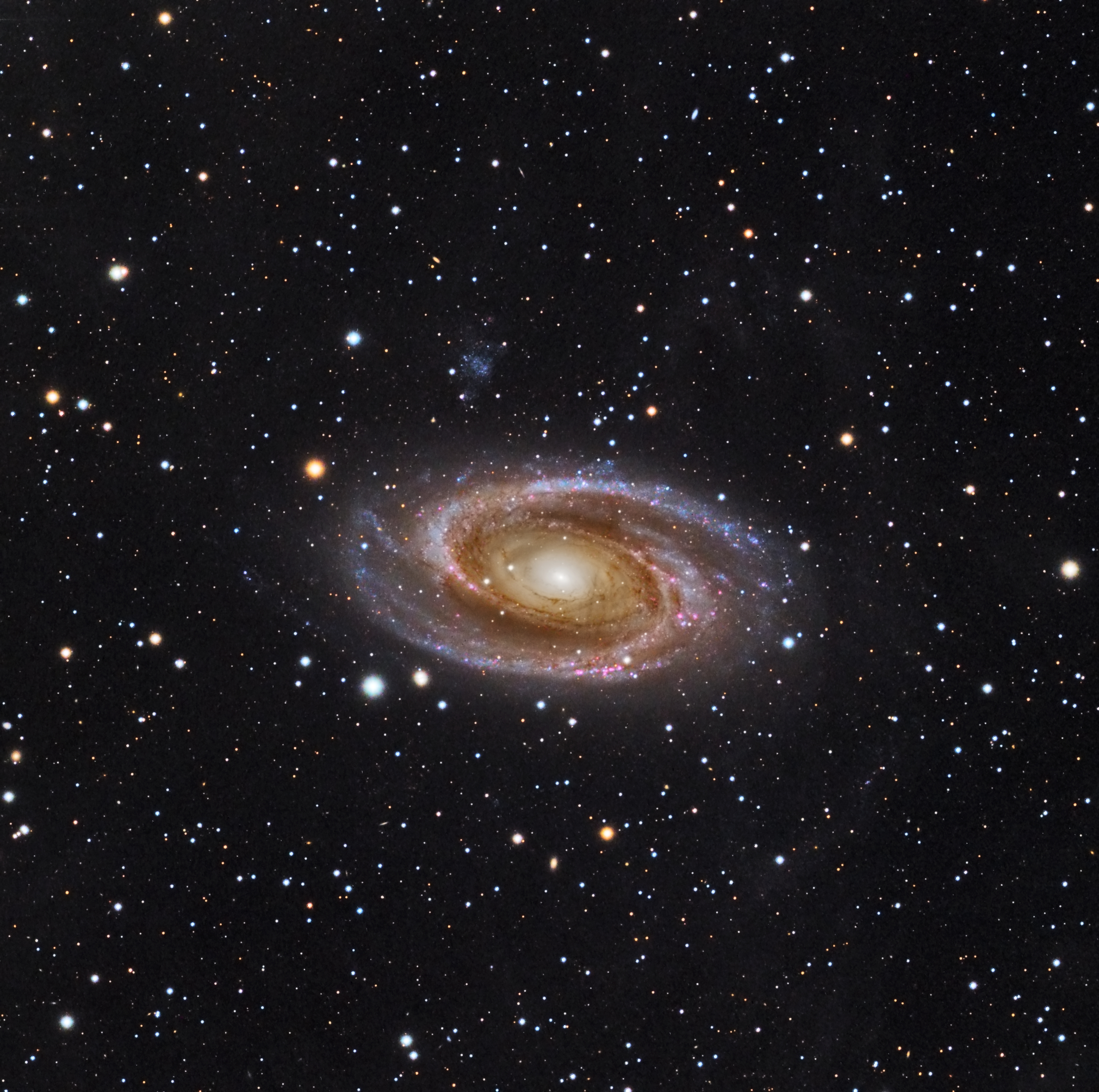 M81 Holmberg IX e IFN