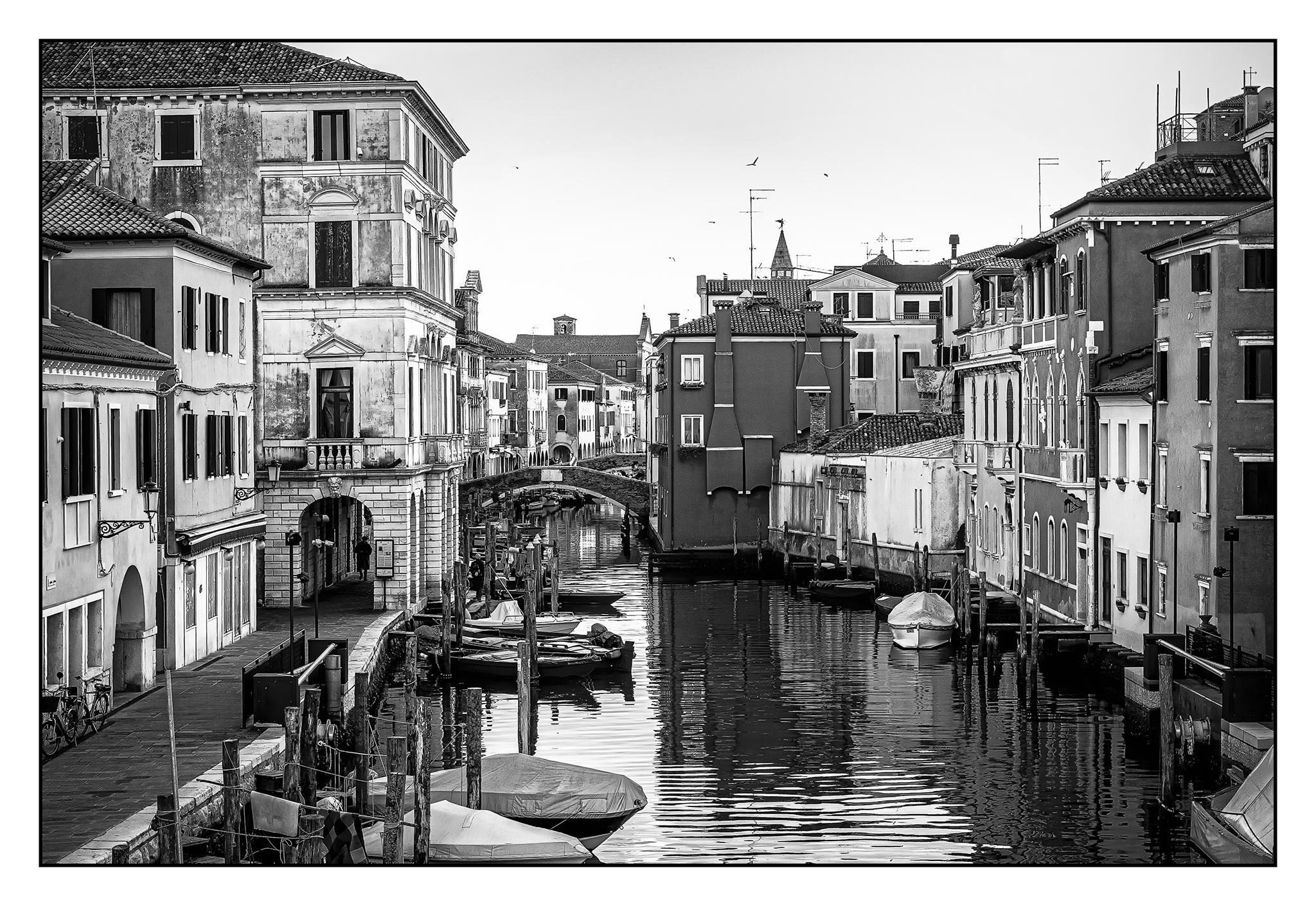 Chioggia