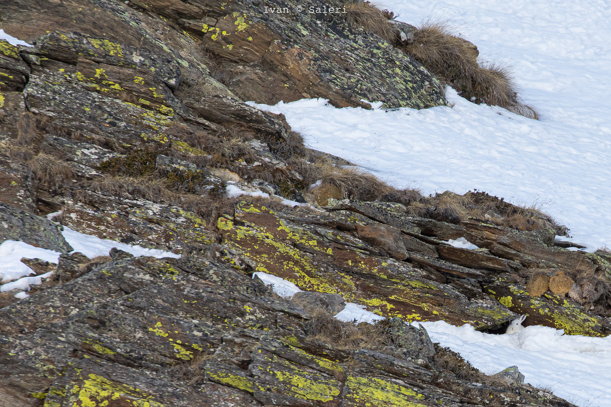 Playing hide-and-seek ....