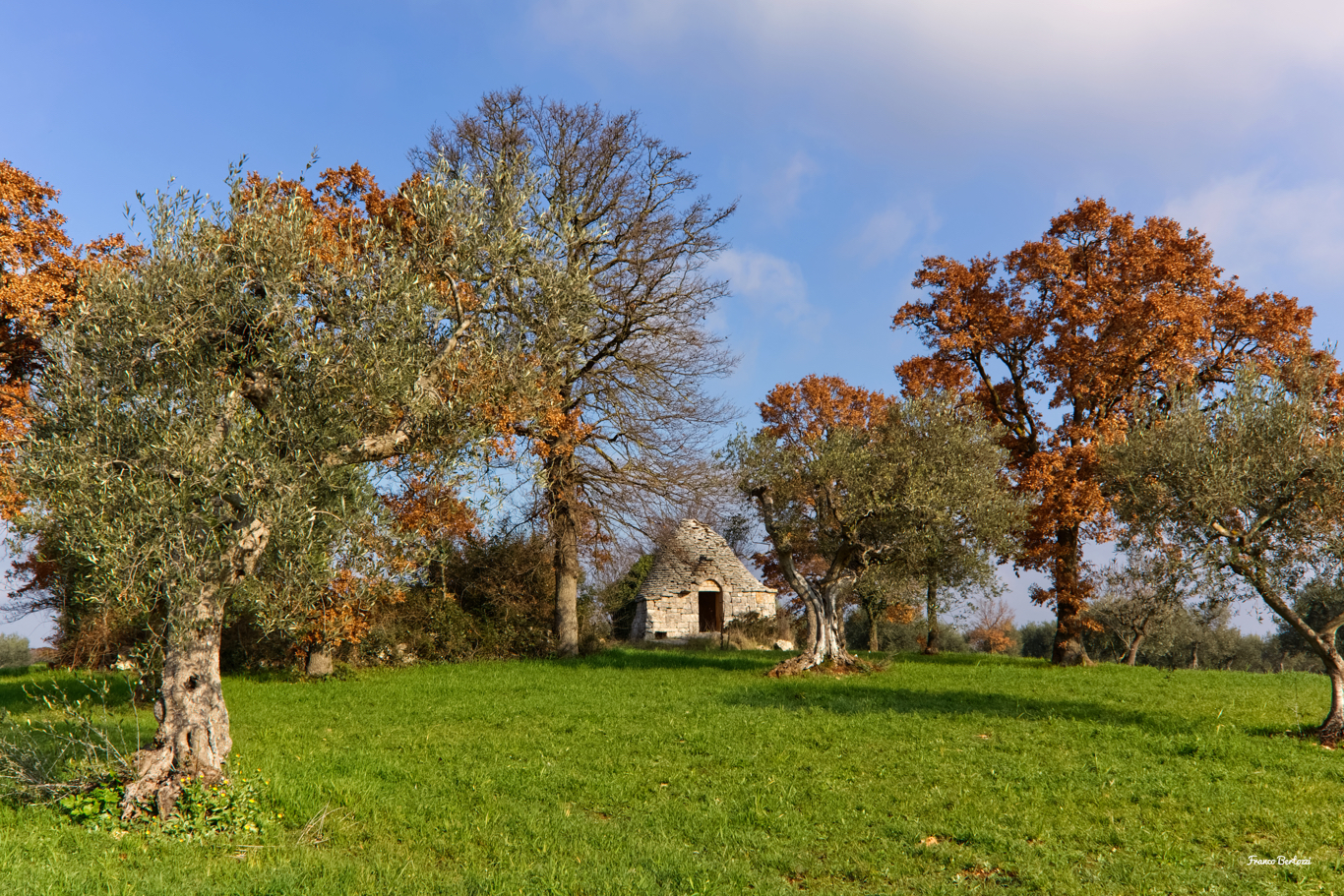 Trullo nella campagna di Alberobello