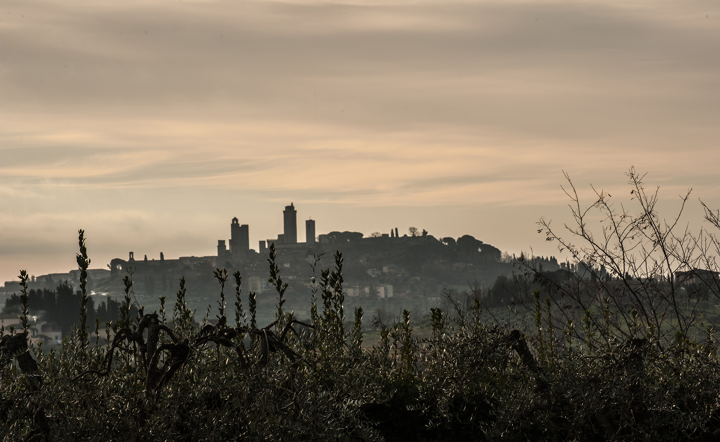 San Gimignano II