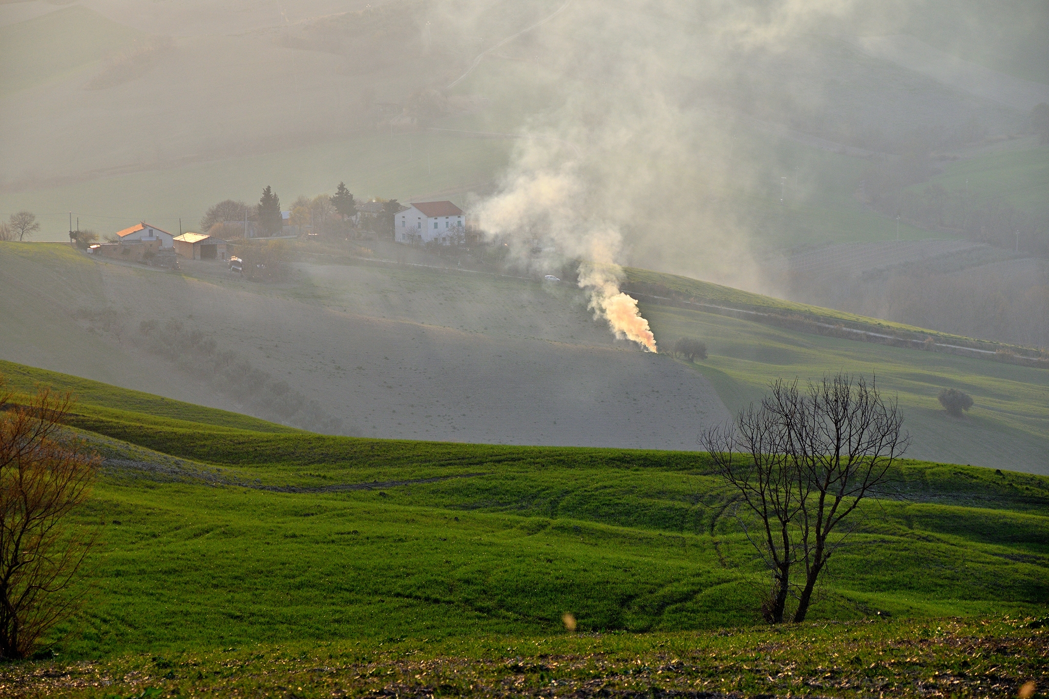 Consuetudini agresti