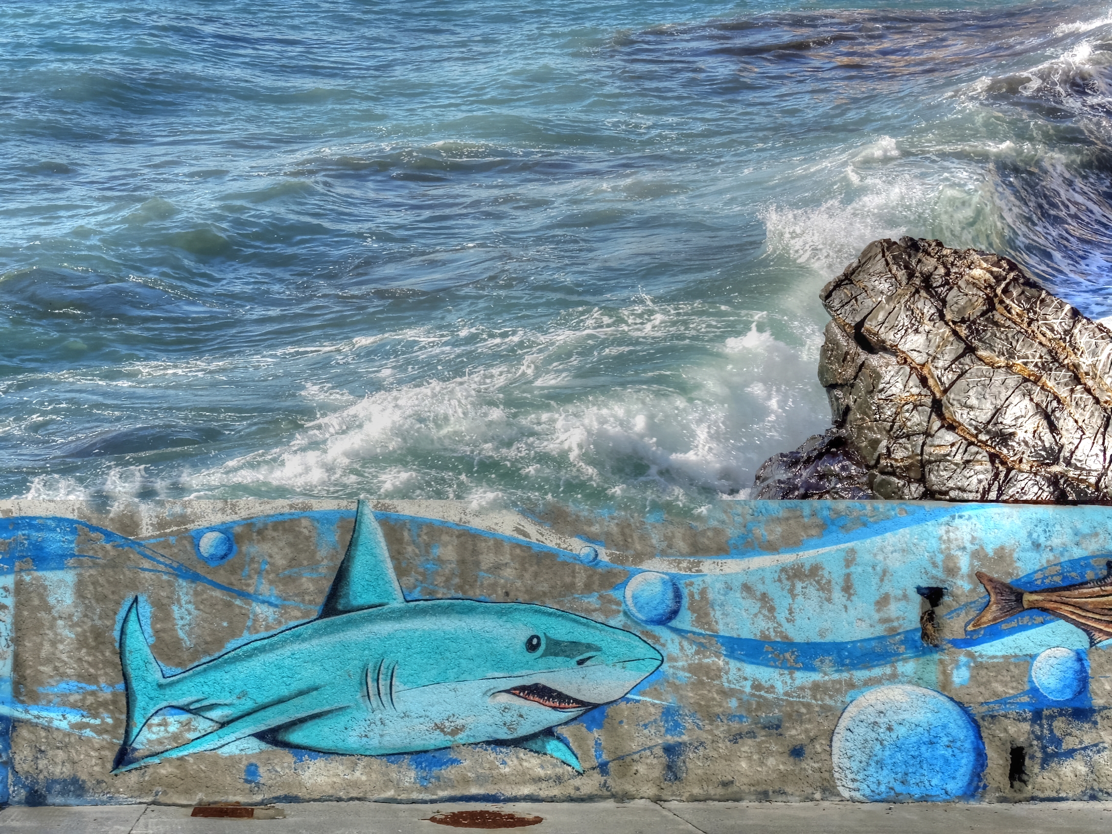 nessuna sardina...solo pescecani!