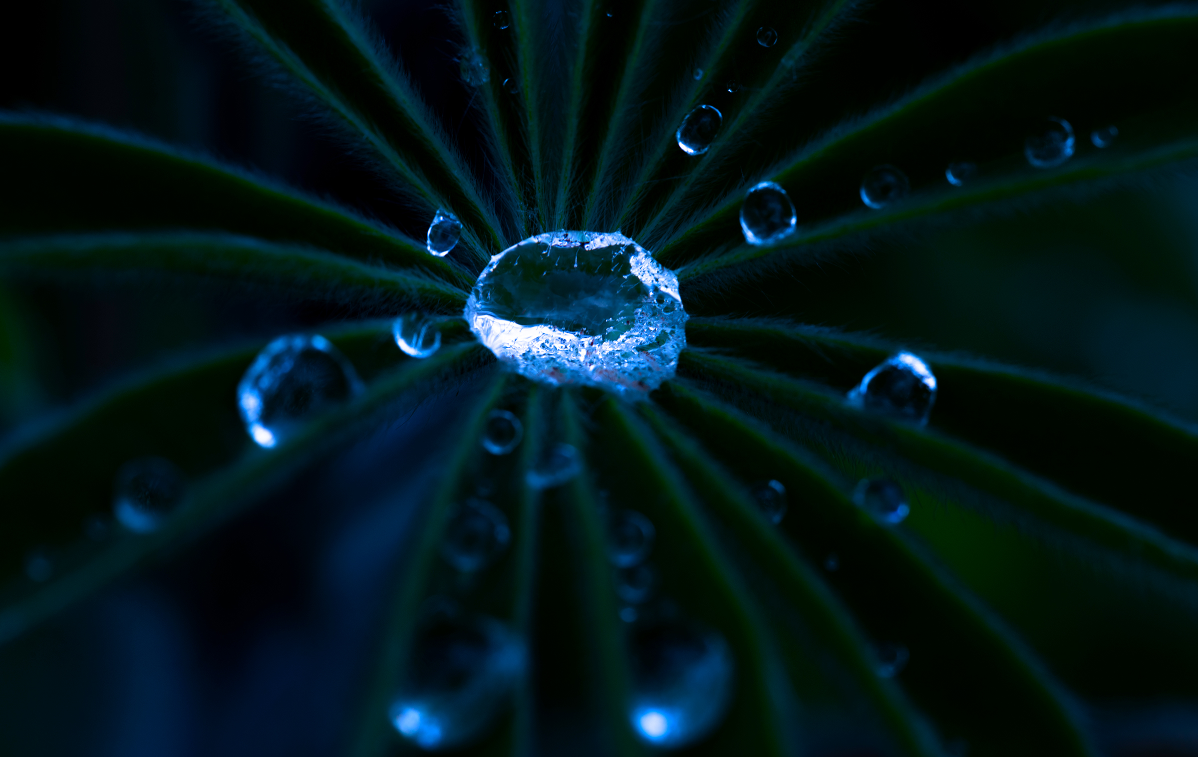 droplets