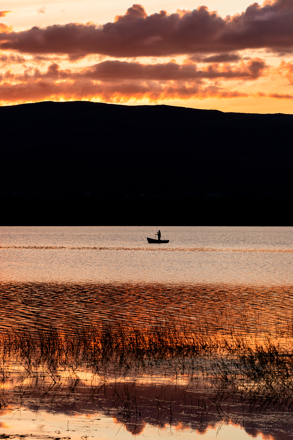 The Midnight Fisherman