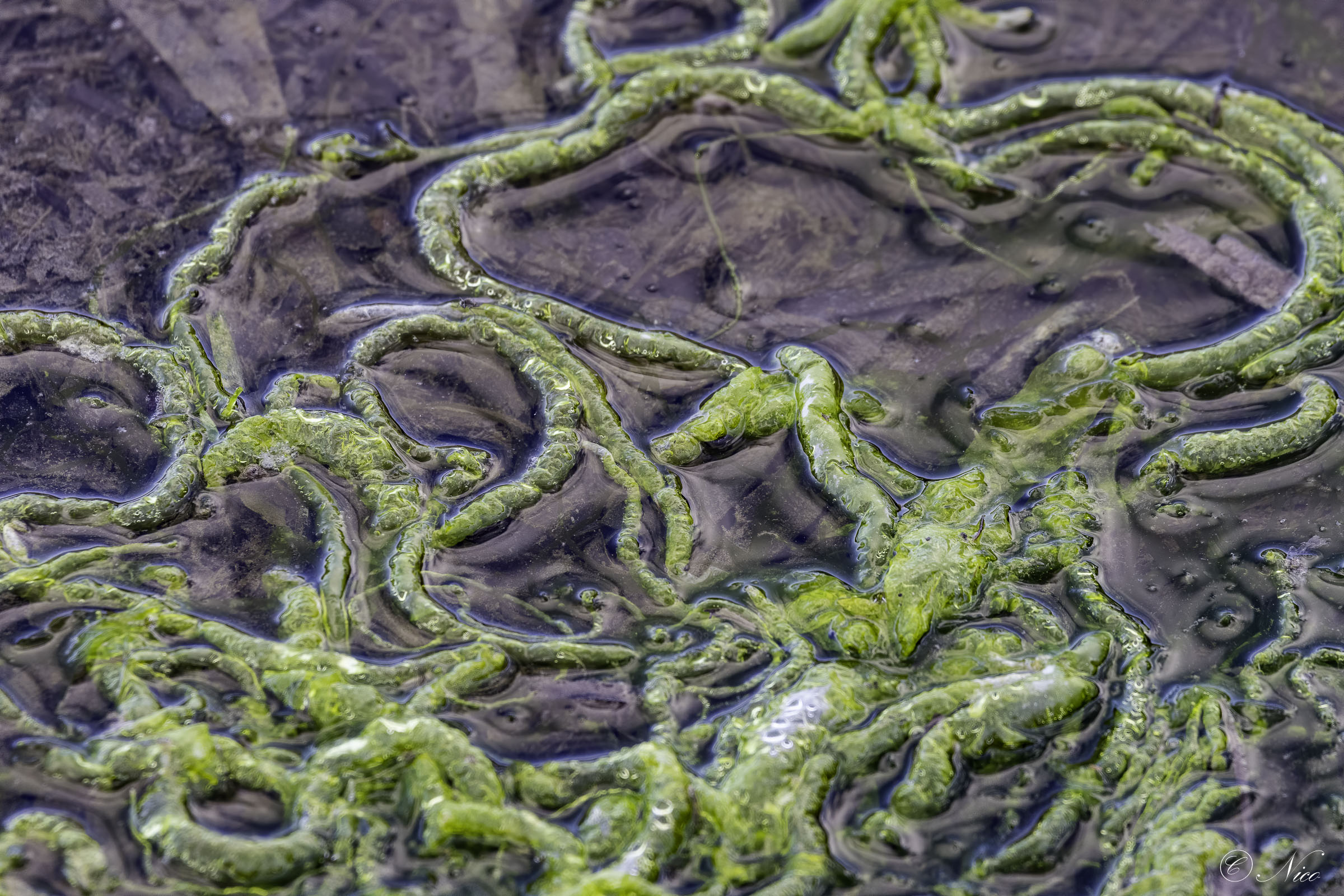 La vita è anche qui