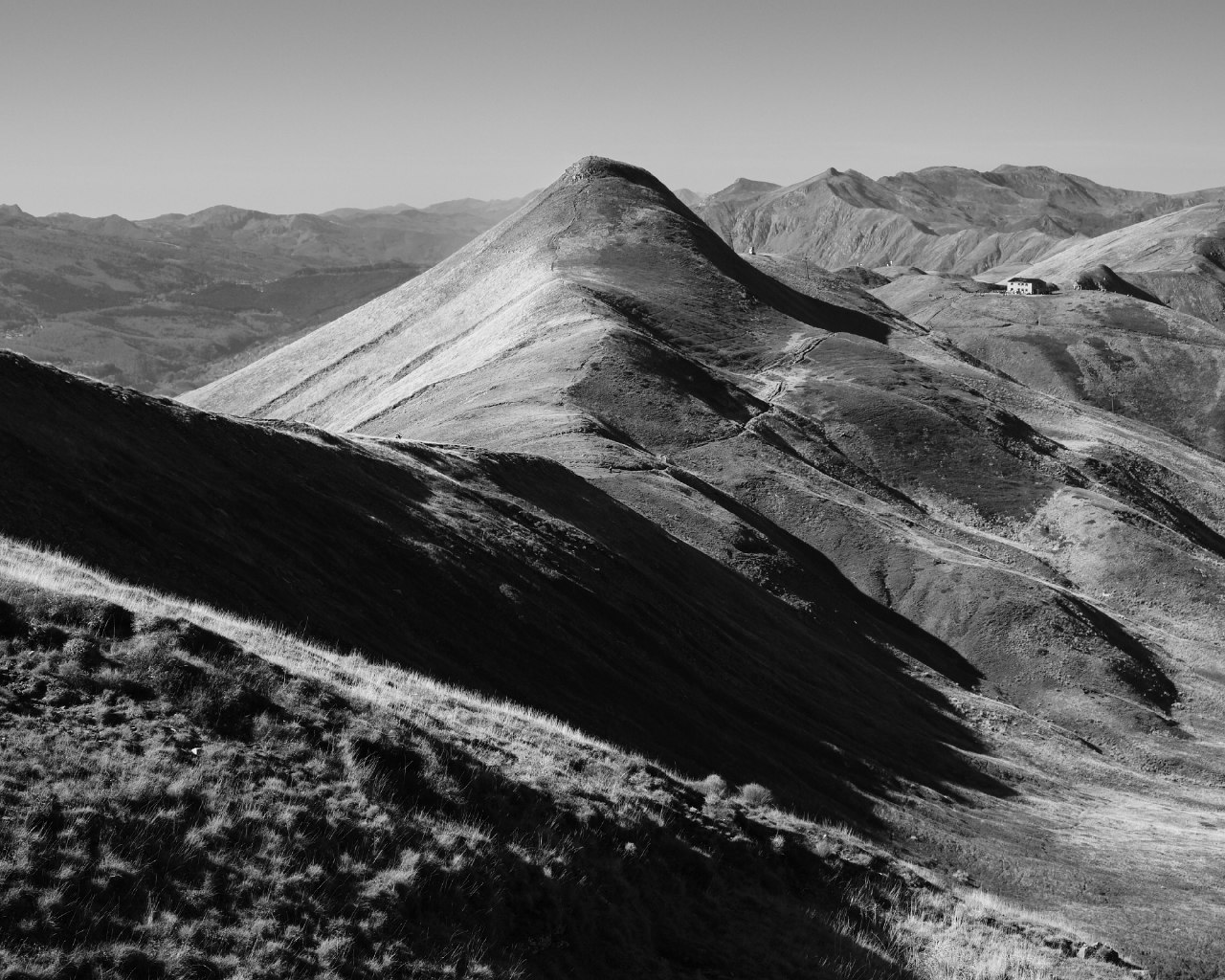 Horn Crests at the Stairs