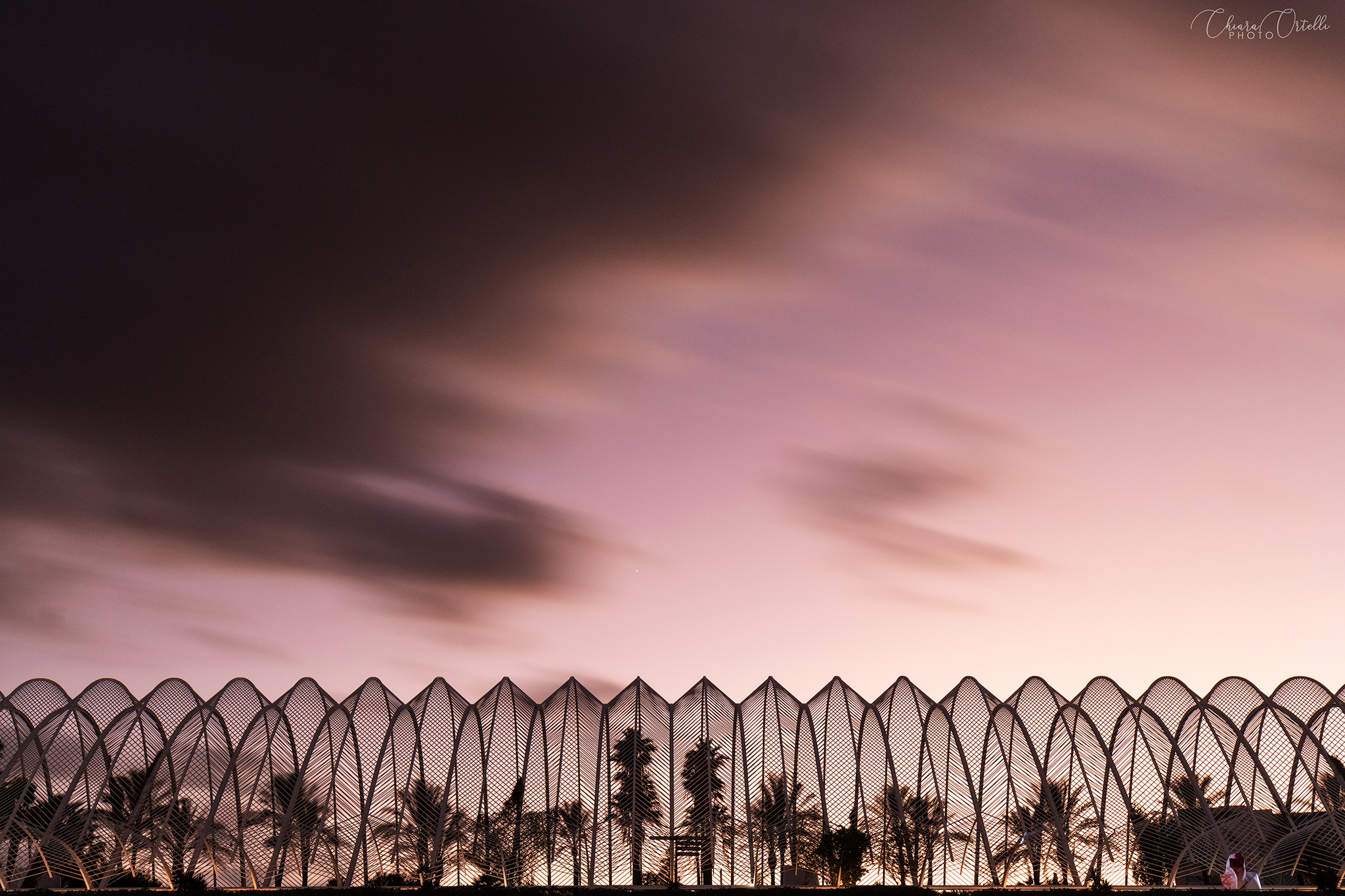 Geometries of the Ciutat de les arts le les ciències