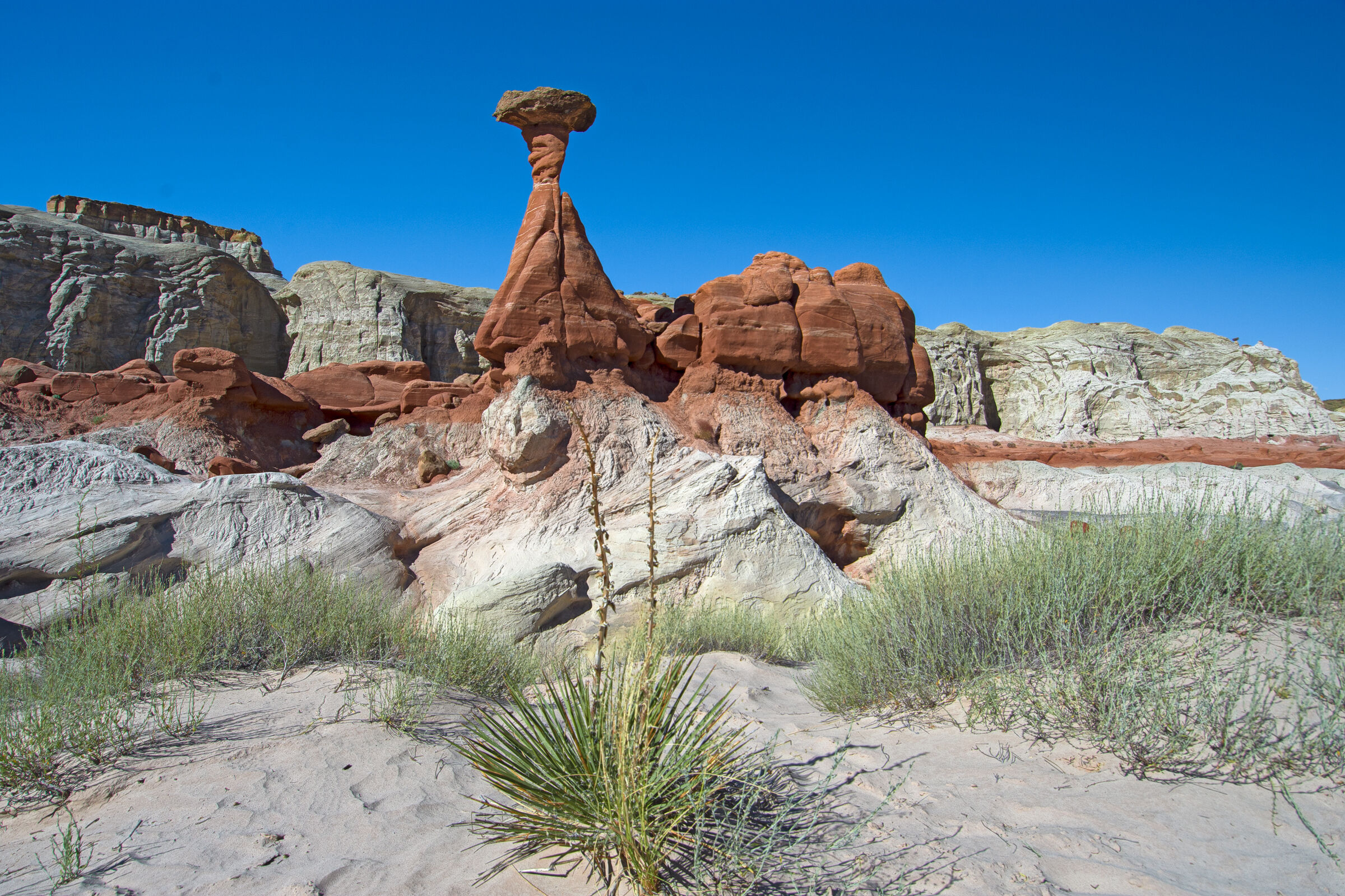 The Toadstool Trailhead