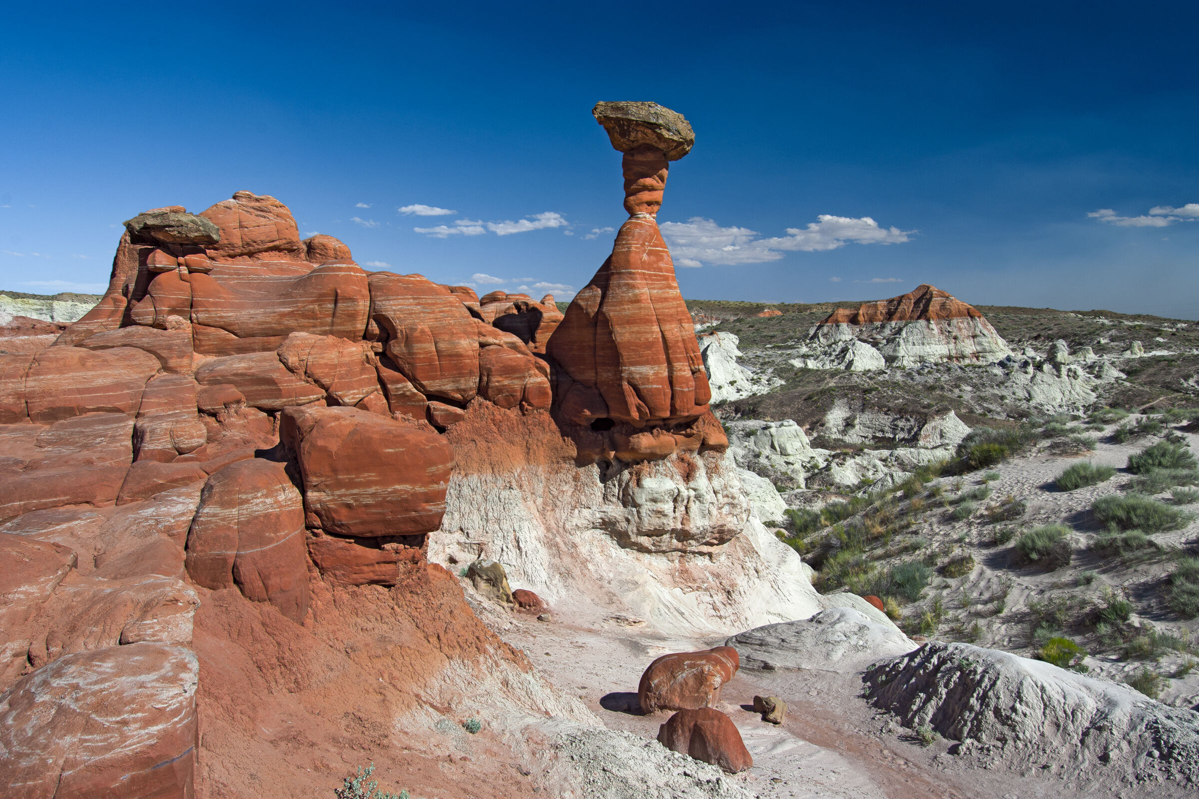 The Toadstool Trailhead