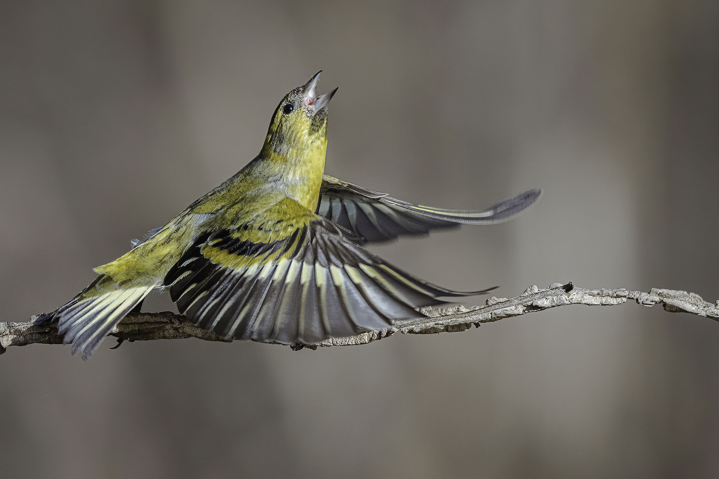 ...speriamo che non piova