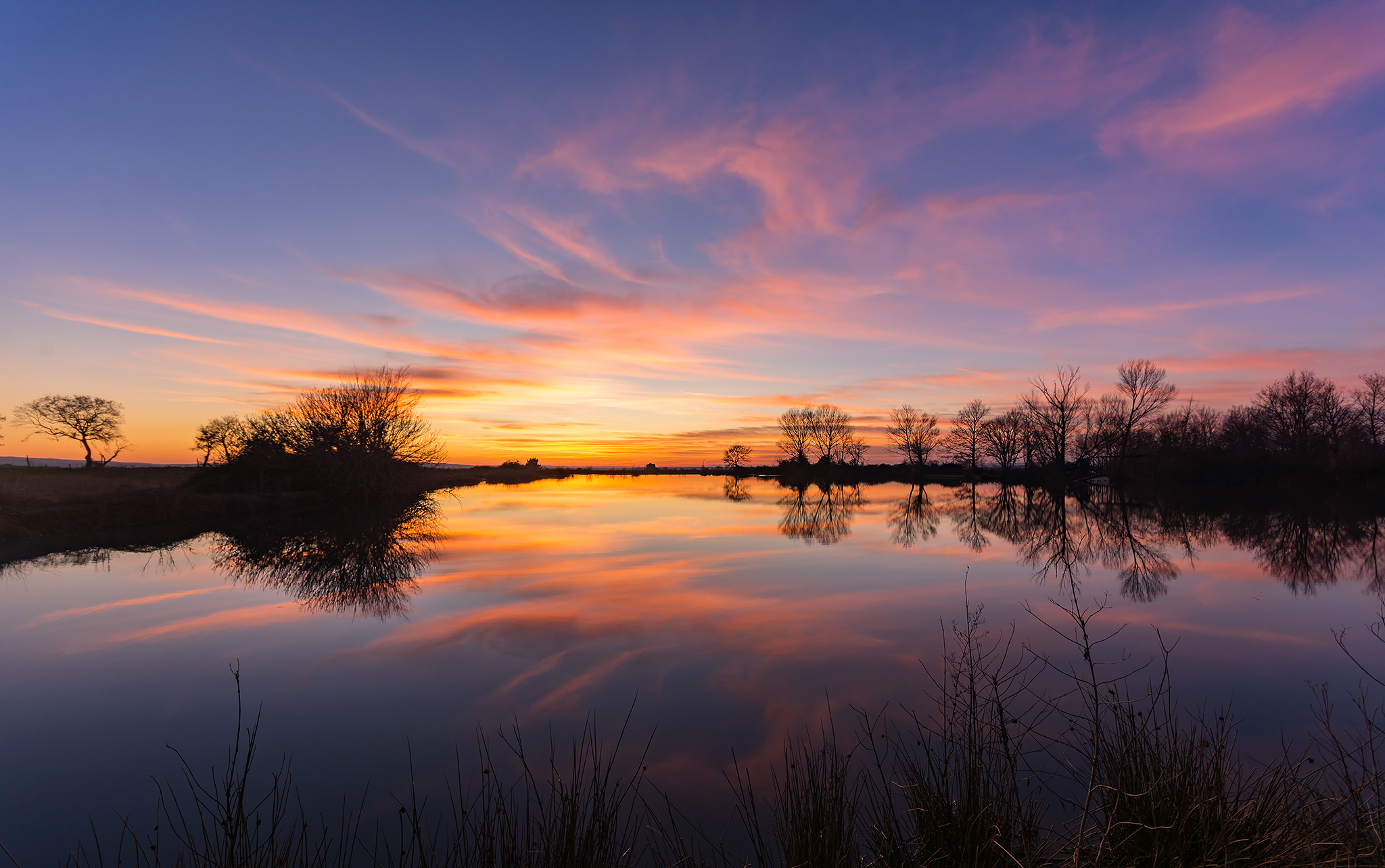 The pond is coloured