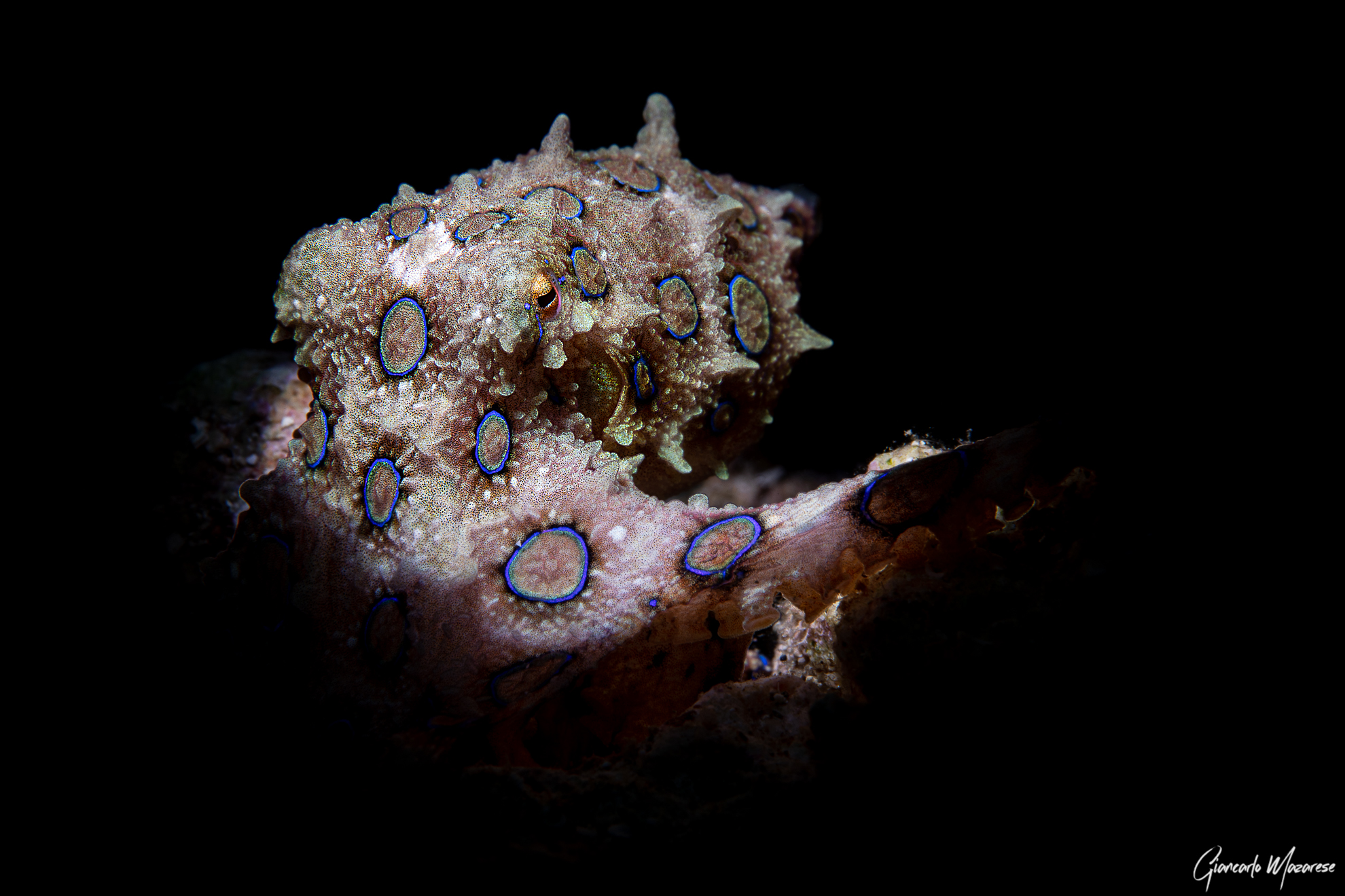 Occhio che sono pericoloso