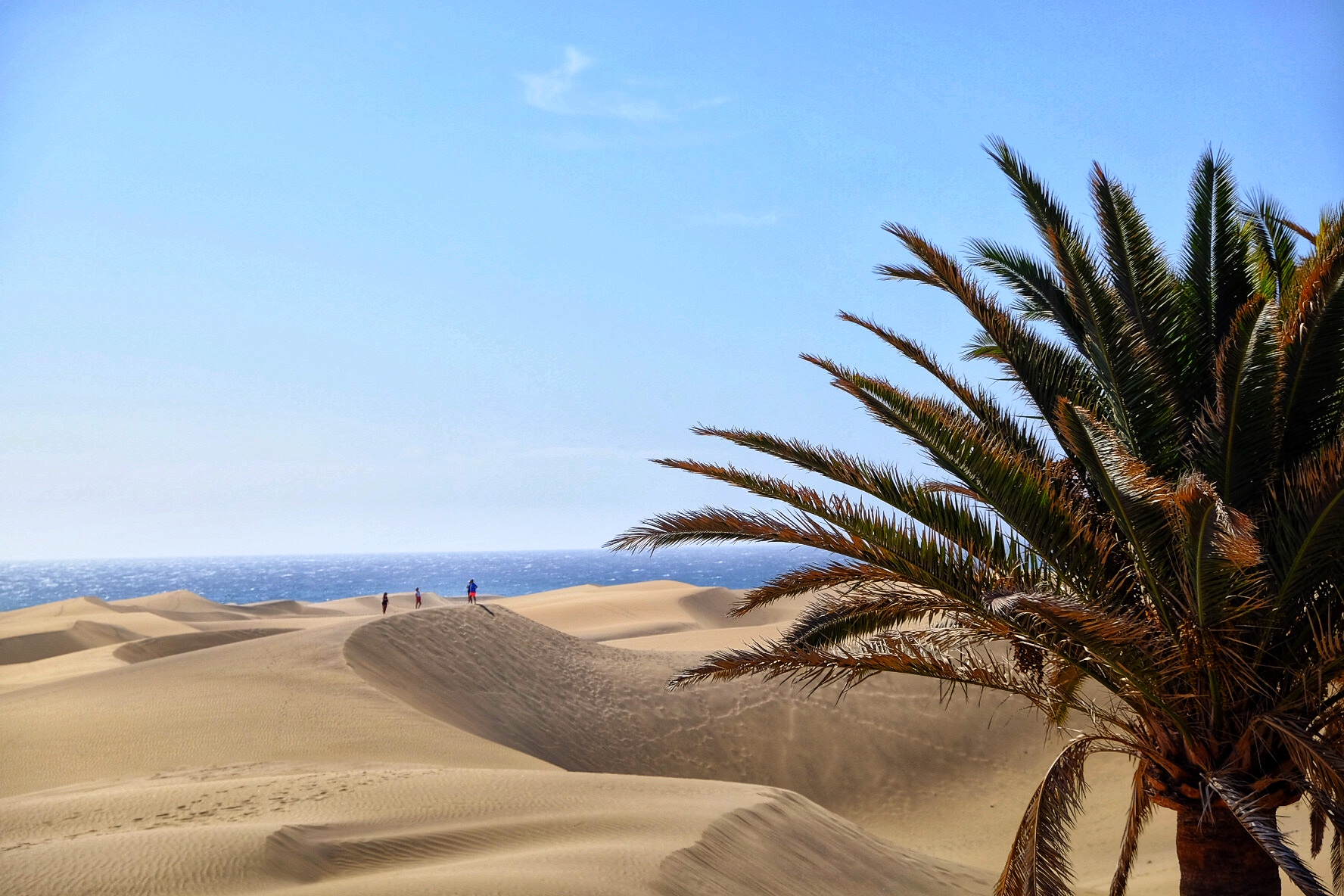 Maspalomas Dunes - Gran Canaria