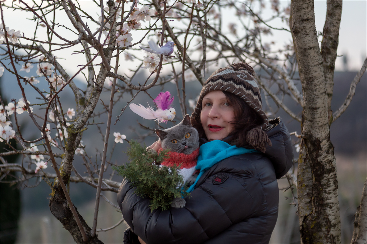 I'm going to make you a tongue-in-cheek