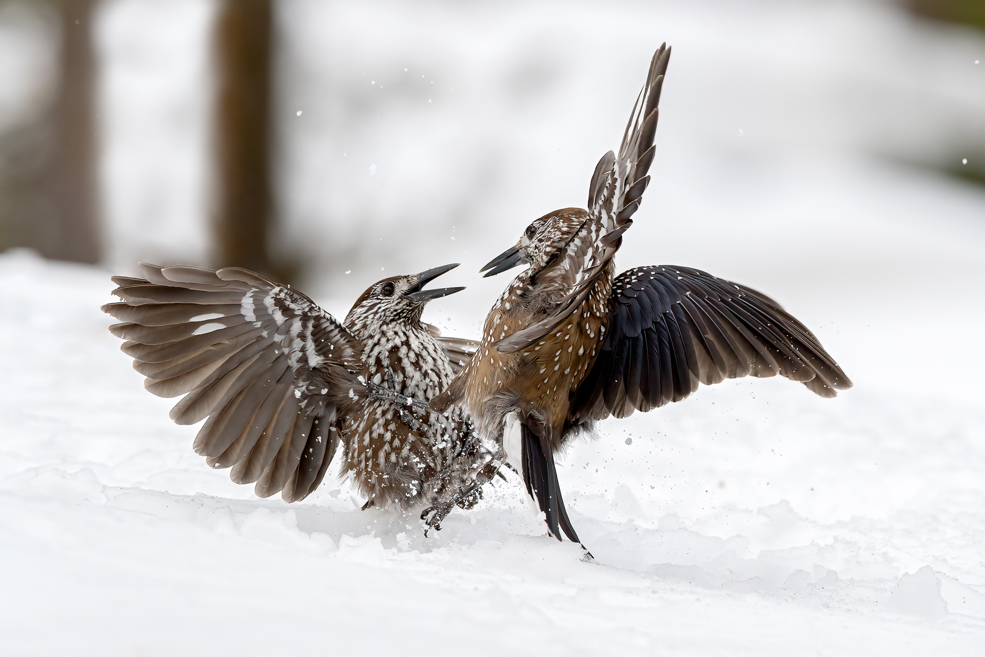 Problemi? Discutiamone...