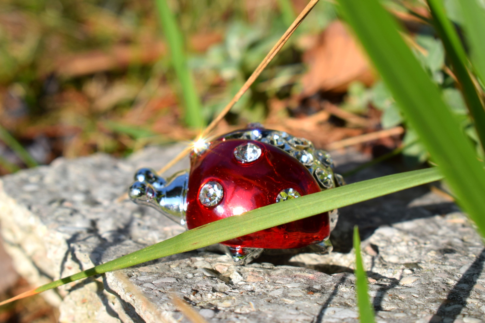 Coccinella meccanica