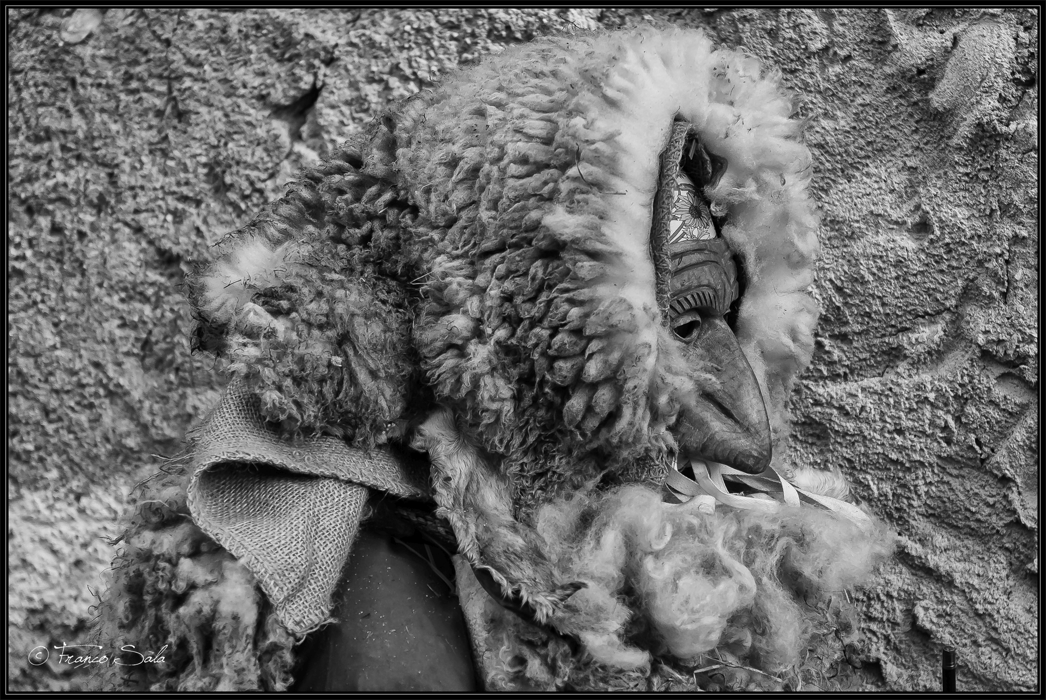 El Carnevaal de Schignan