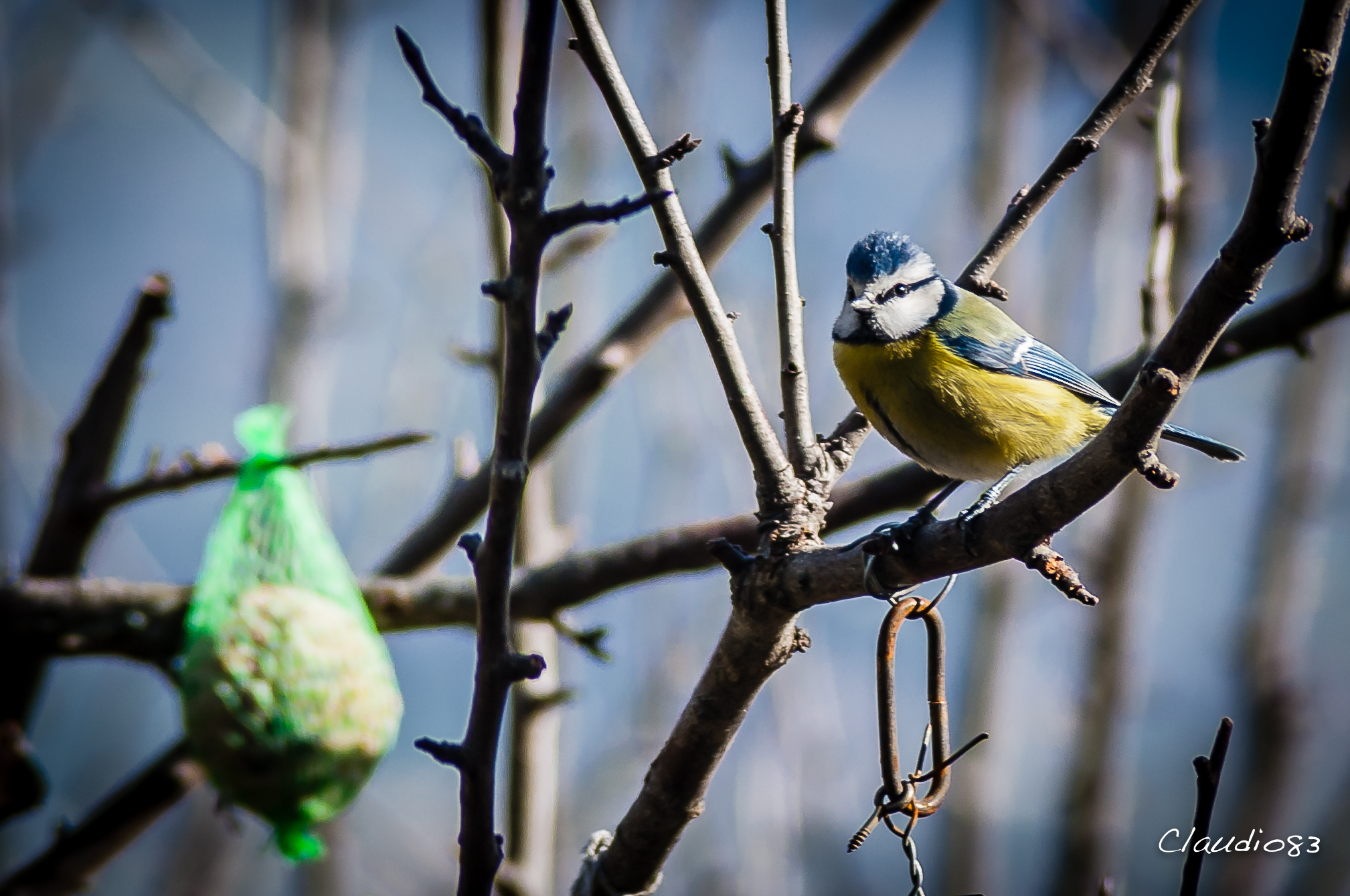Sguardo interessato...