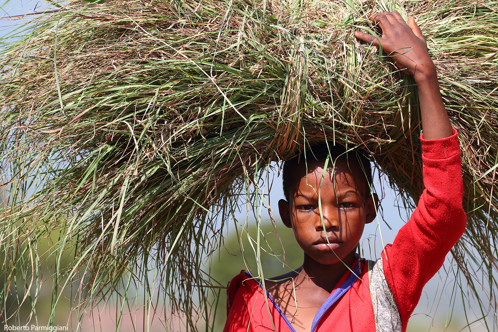 Giovane trasportatore