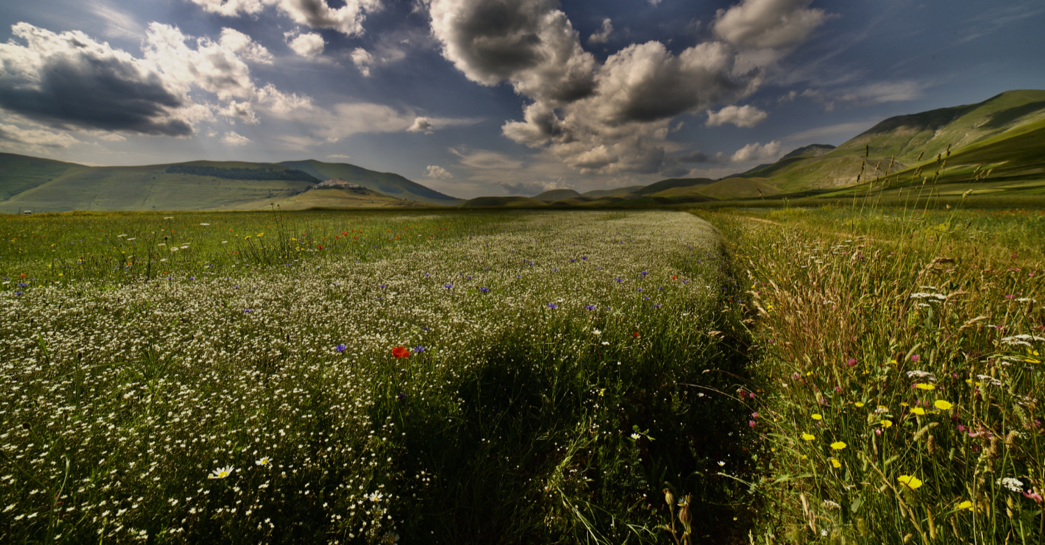 Castelluccio