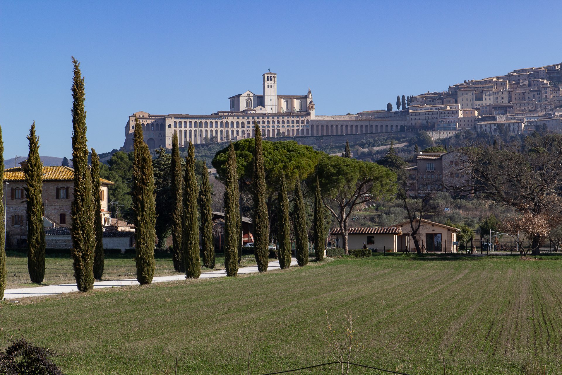 Assisi