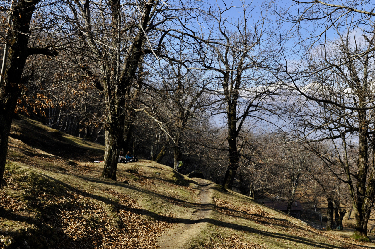 at 1 p.m. a light like this!