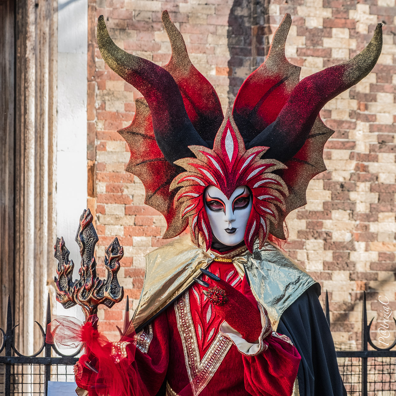 __Carnevale Venezia__(7)