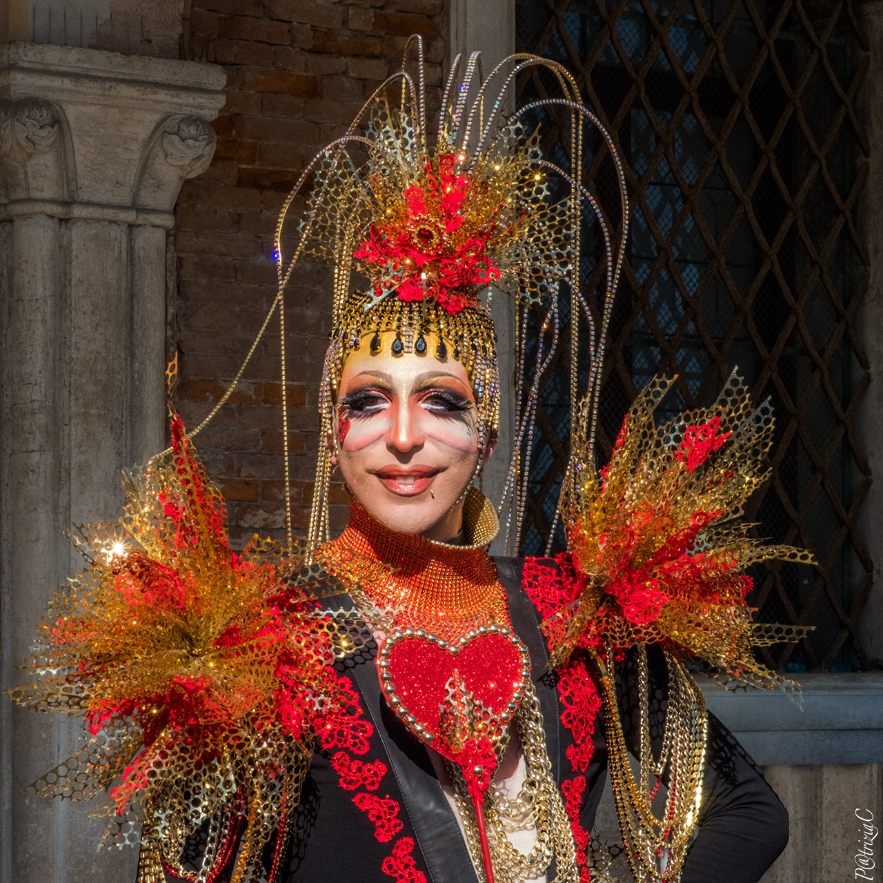 __Carnevale Venezia__(8)