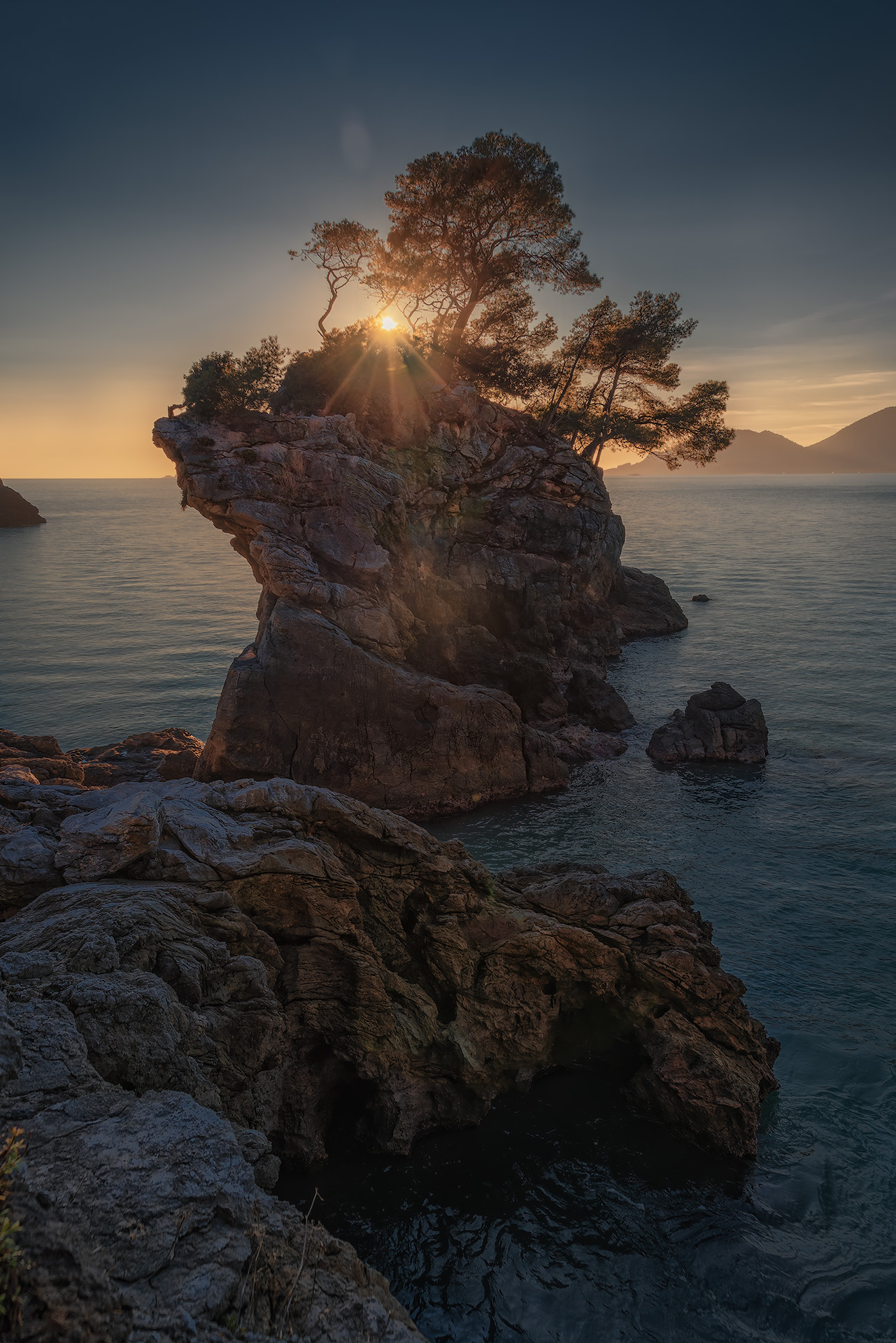 The last tree