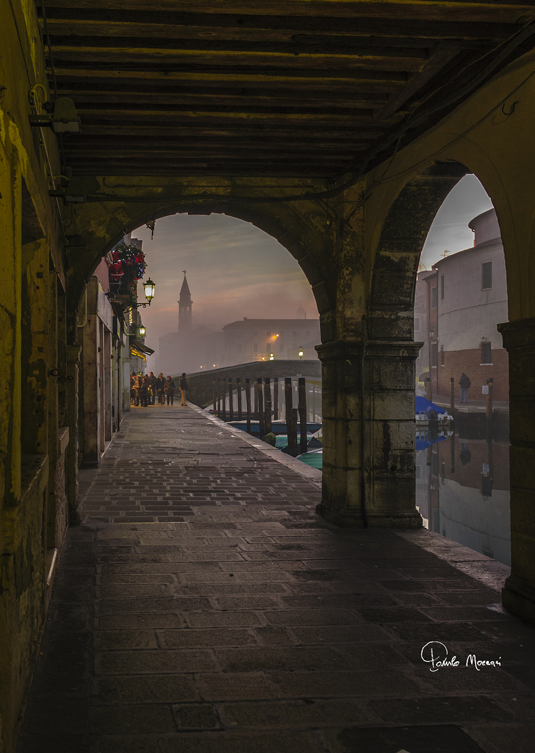 Punto di vista del "Vena"