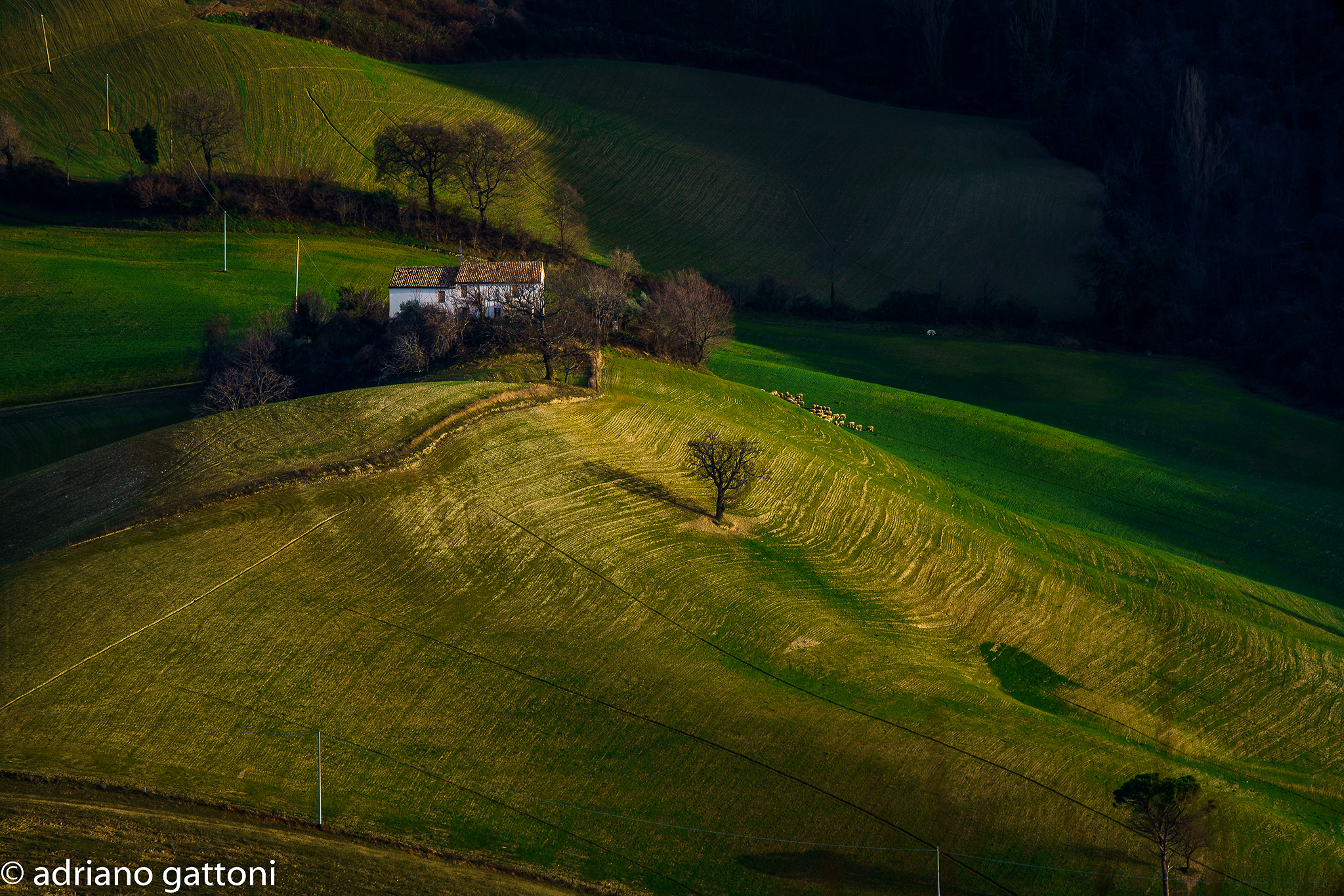 Luci ed ombre nel Montefeltro