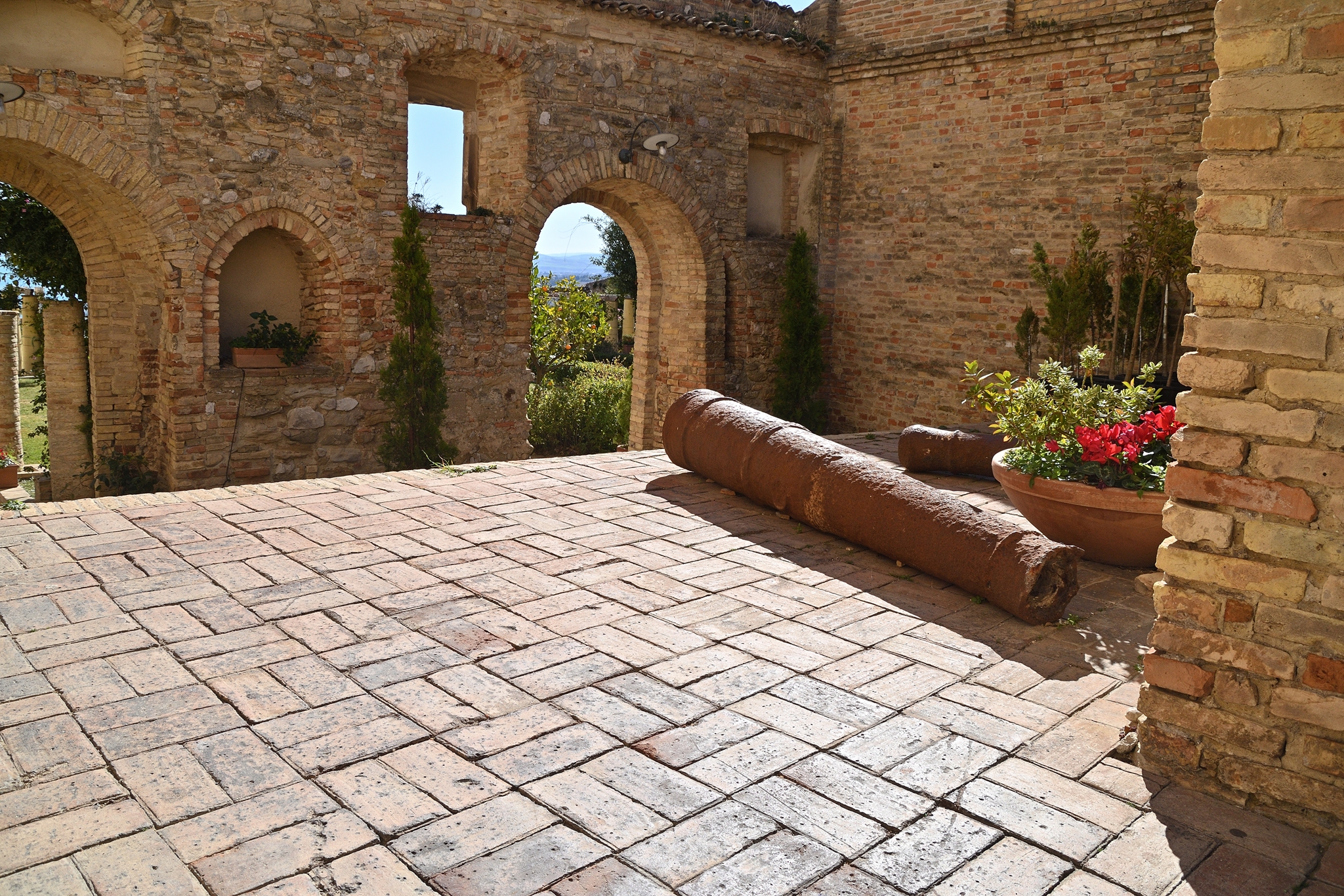 Mettete dei fiori nei vs cannoni