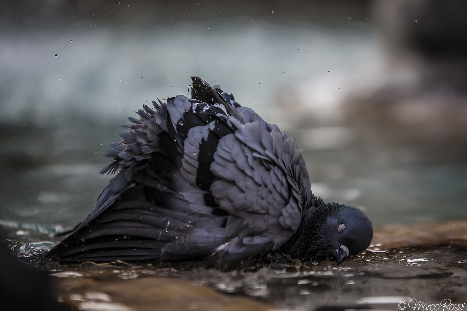 Close your eyes that you like the soap ........