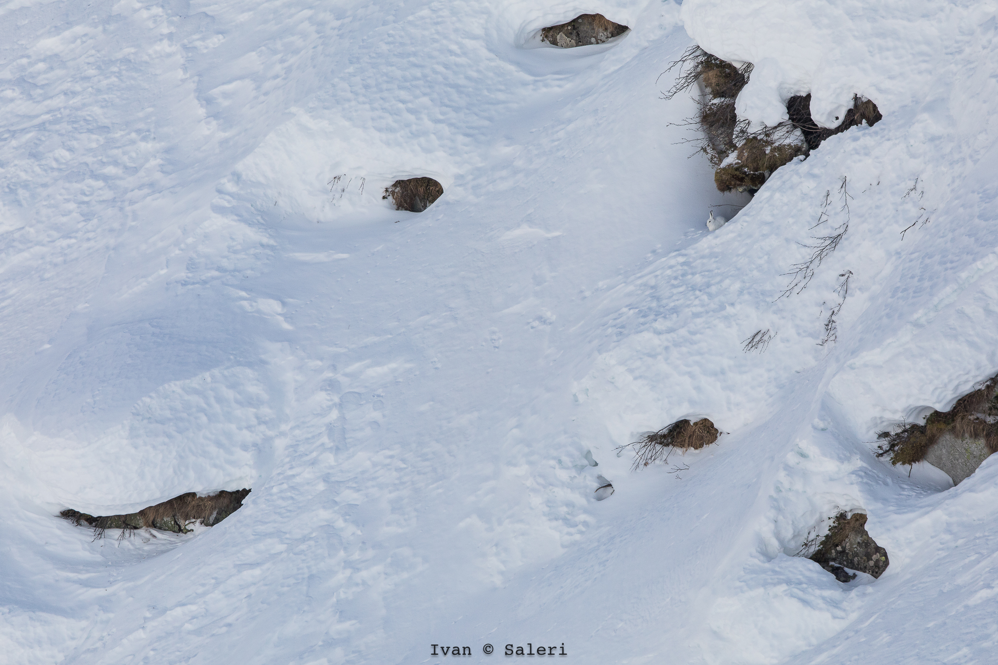 Playing hide-and-seek 2.....