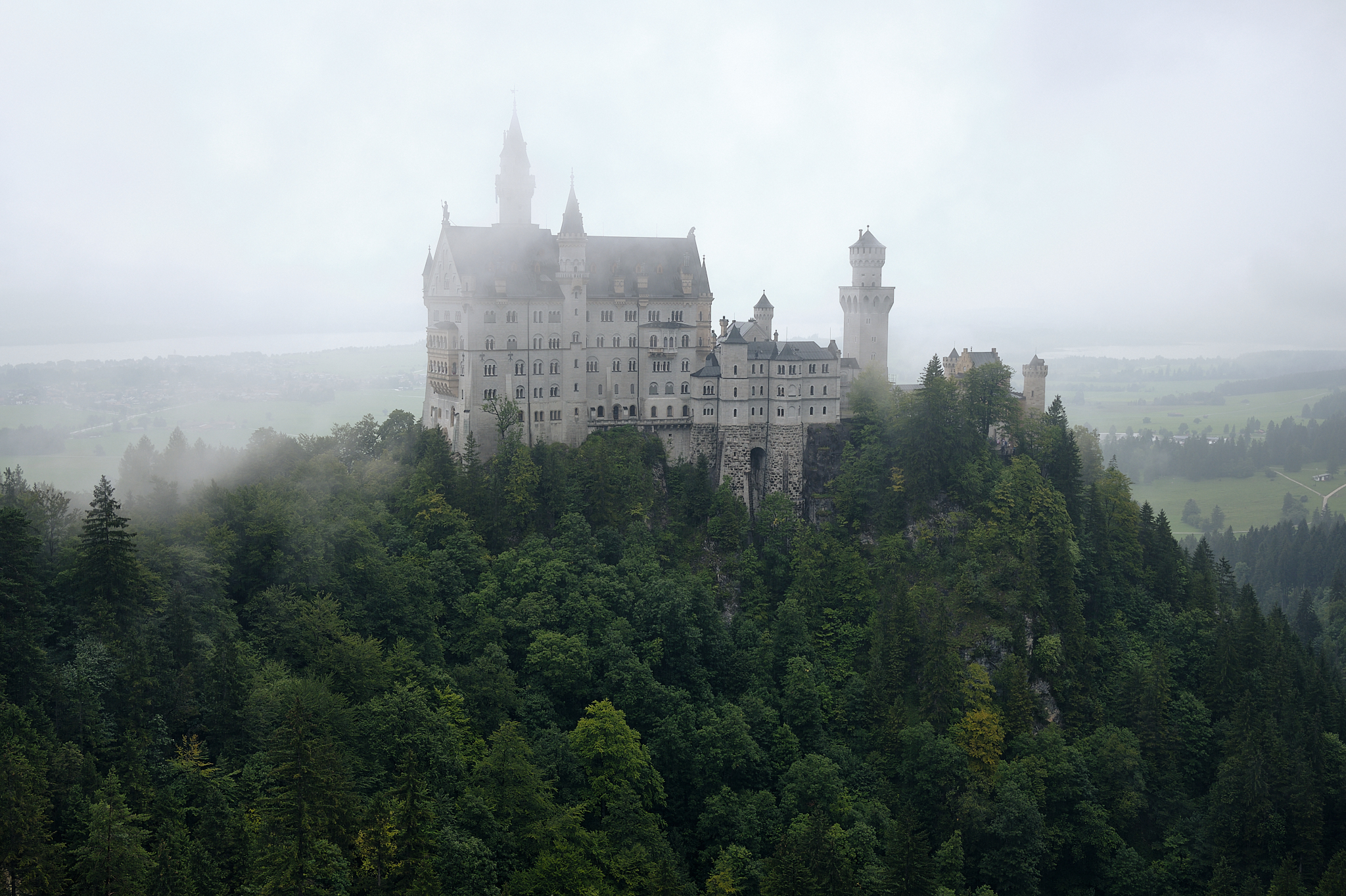 There's a thousand of them