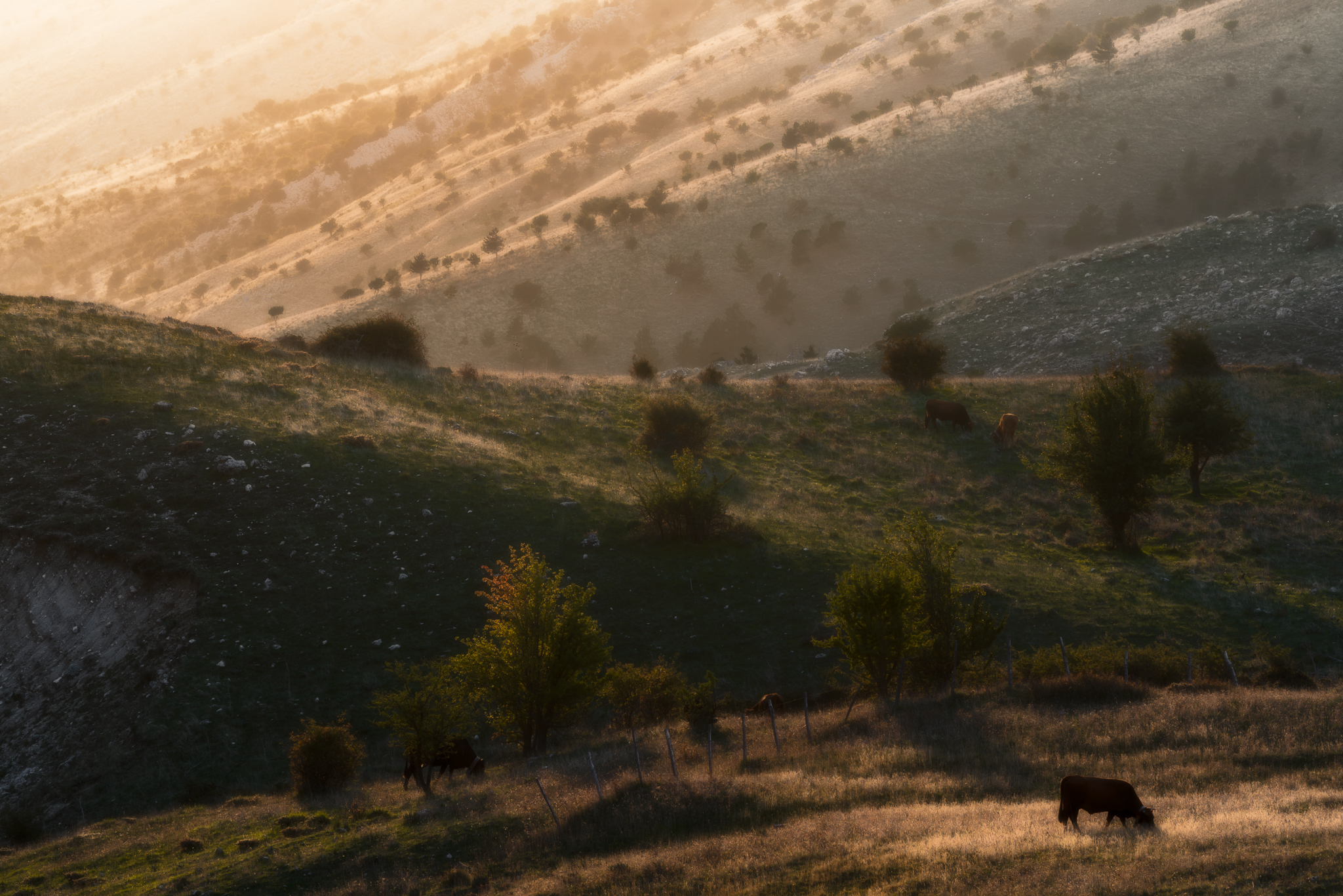 Atmosfere Bucoliche.