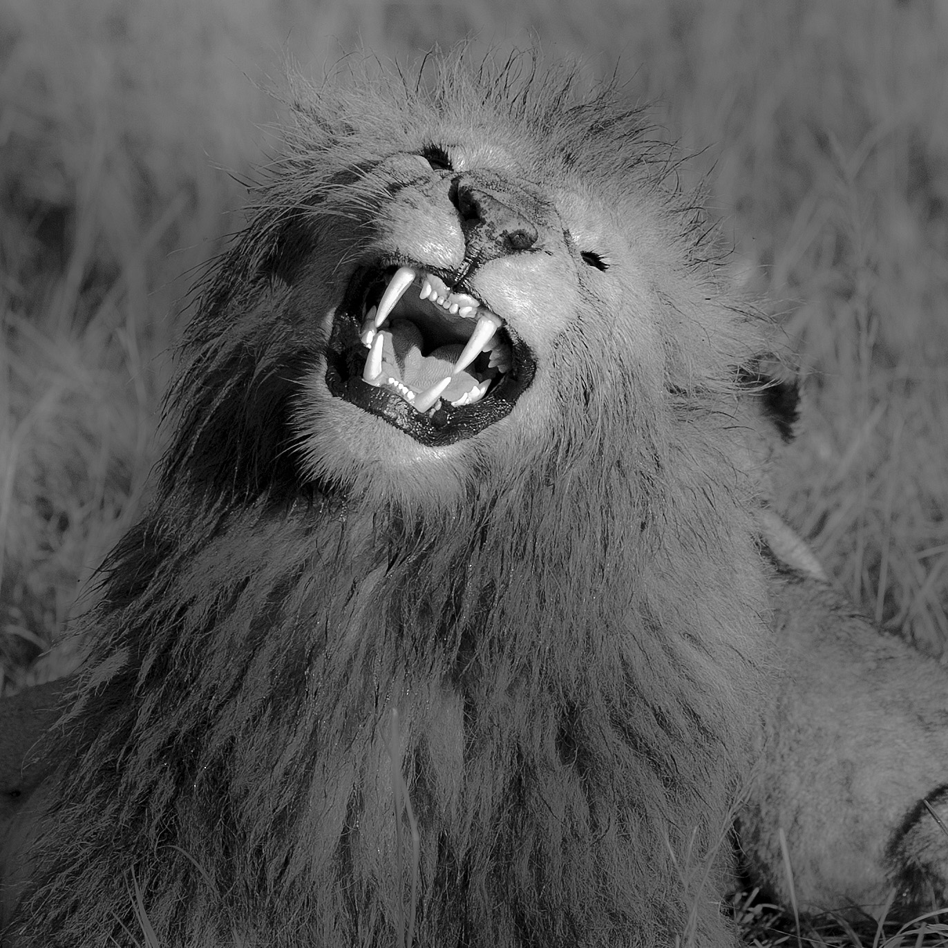 Si gioca un po' in PP