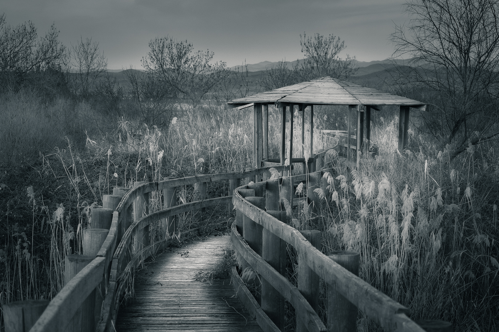 Forgotten Gazebo