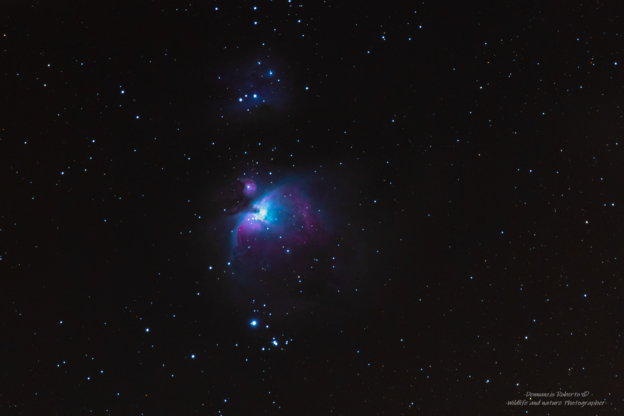 M 42 single shot