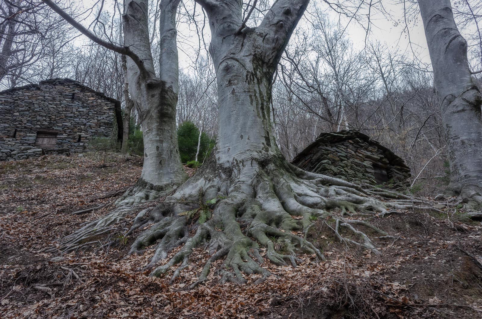 Have your feet firmly on the ground