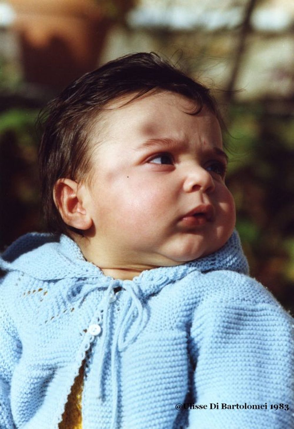 Nipote del 1983