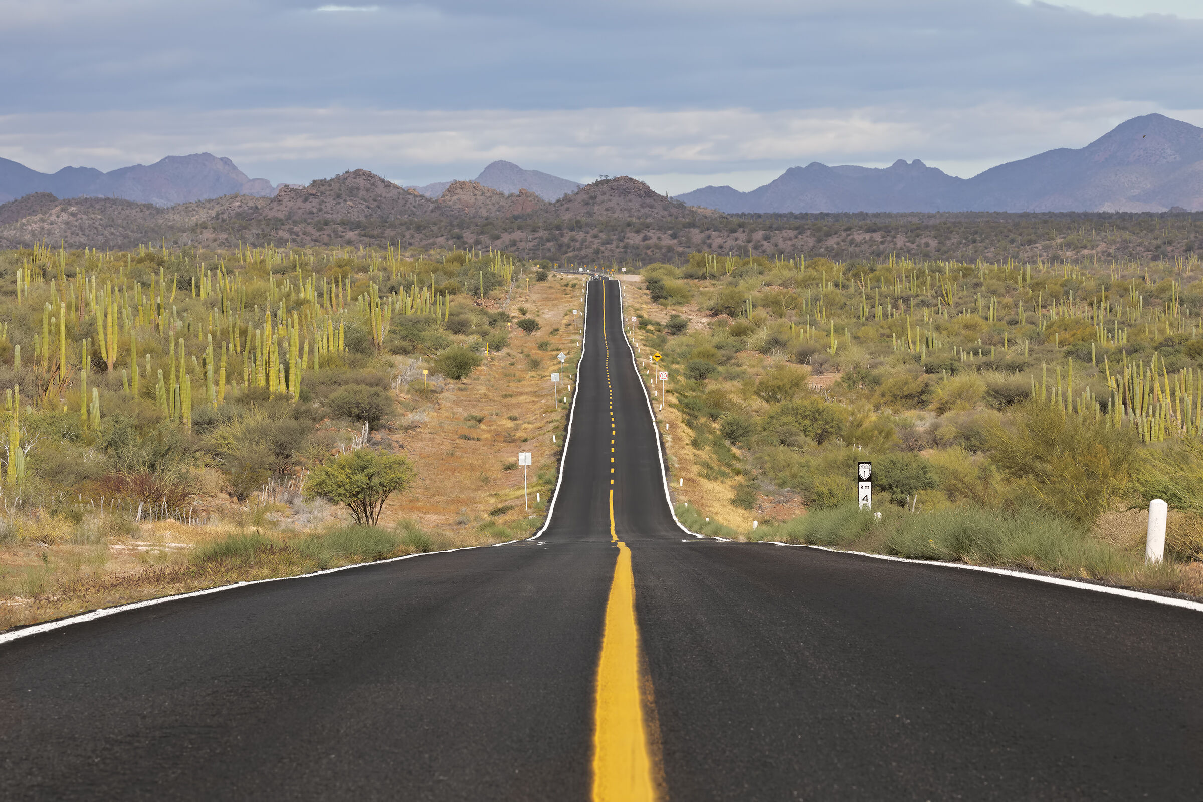 On the roads of Baja California