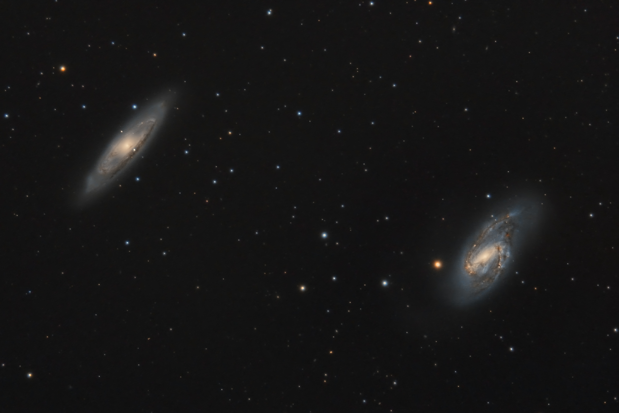 M65 and M66