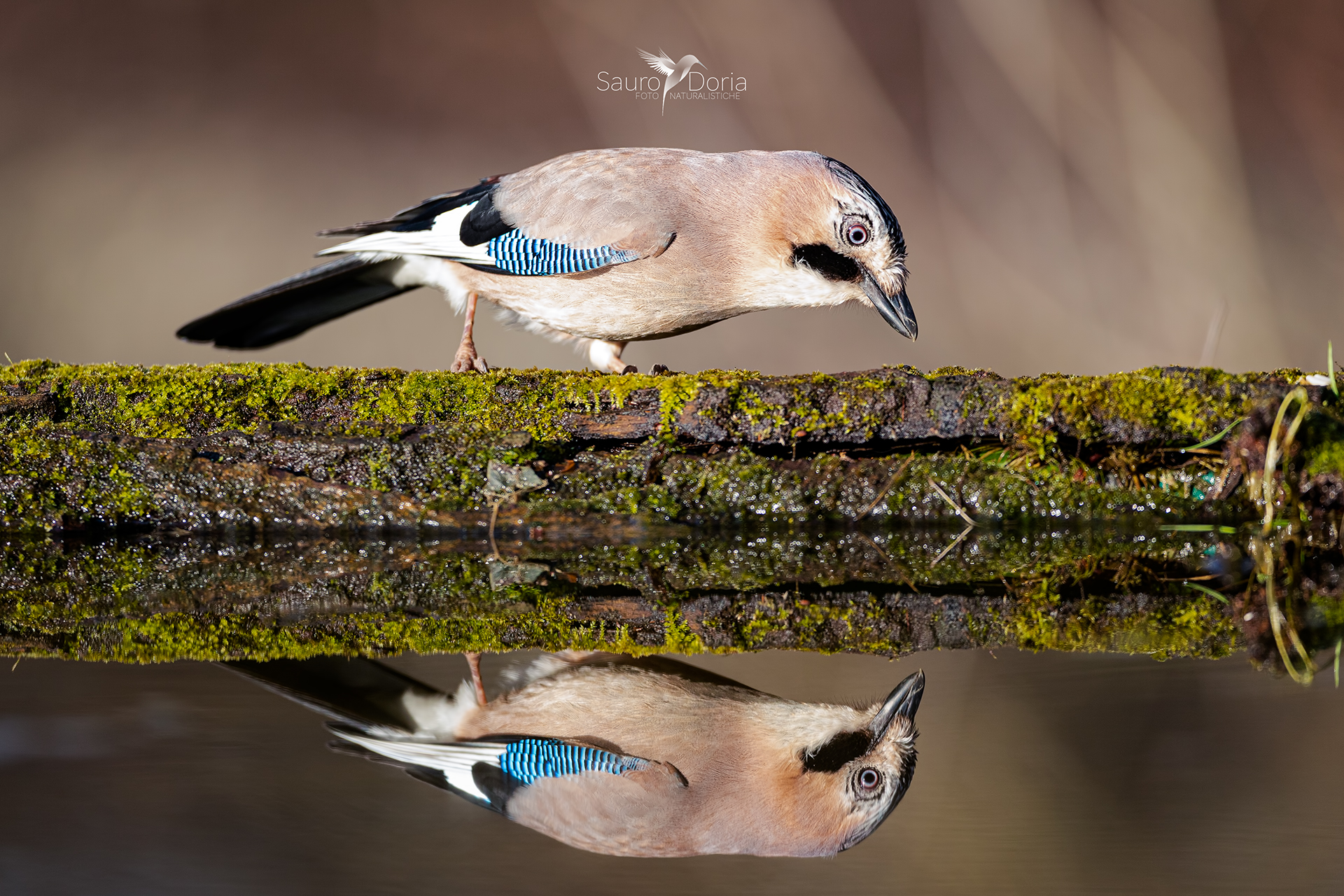 Specchio specchio delle mie brame.....