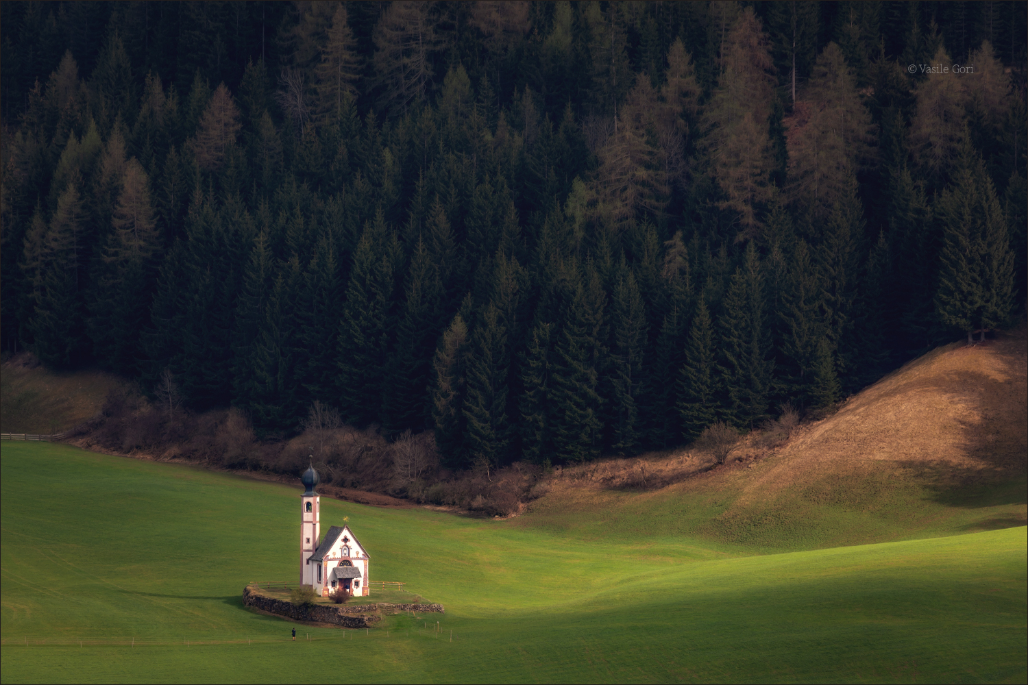 In the clearing on the edge of the woods...