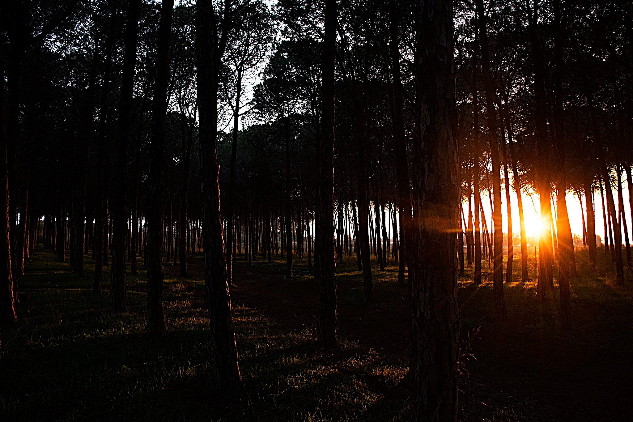 Raggi di sole nel buio